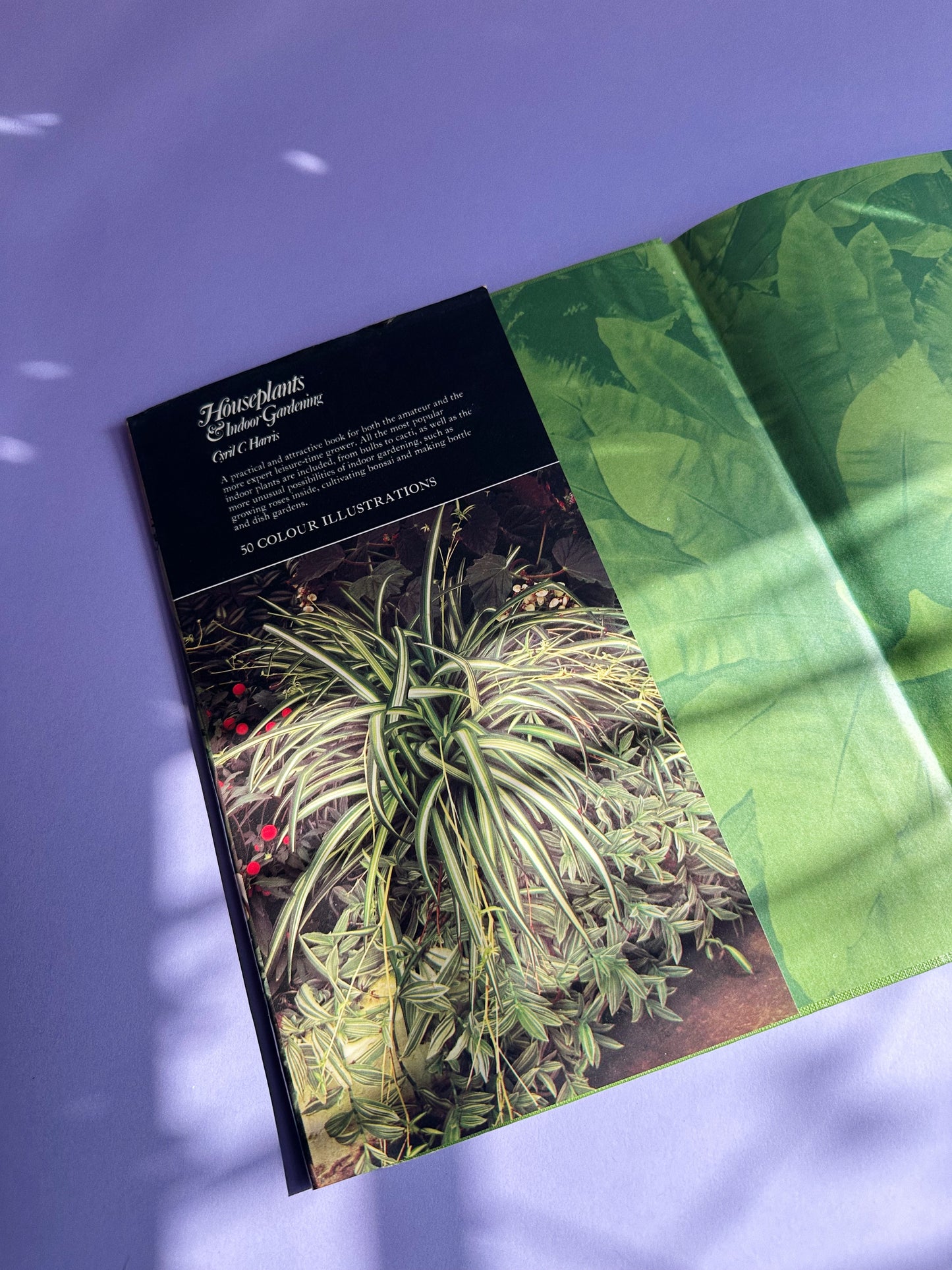 Houseplants & Indoor Gardening by Cyril C. Harris (1973, Hardcover)