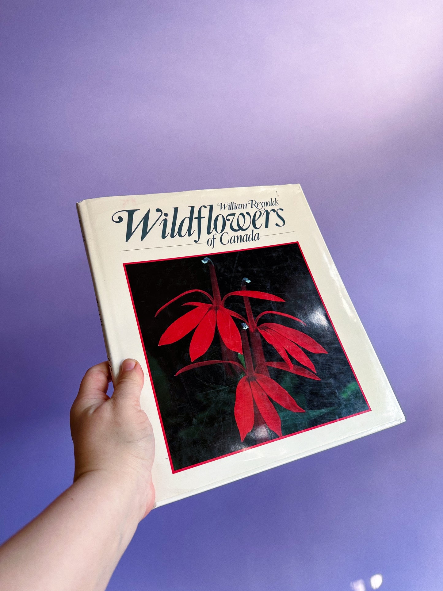 Vintage Wildflowers of Canada Hardcover Coffee Table Book
