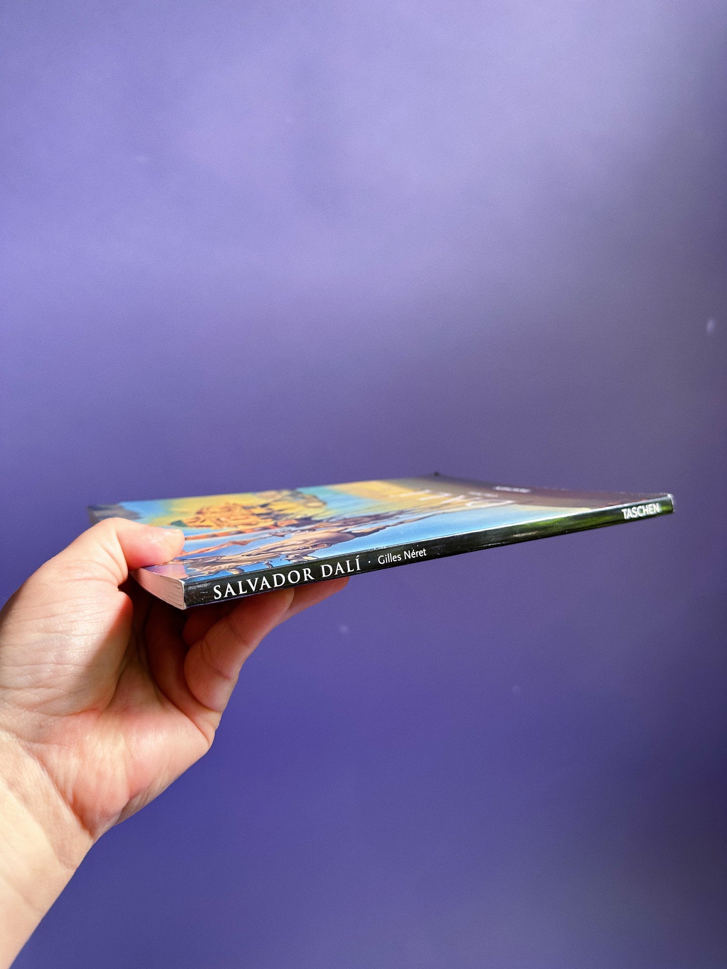 Salvador Dali Taschen Coffee Table Softcover Book