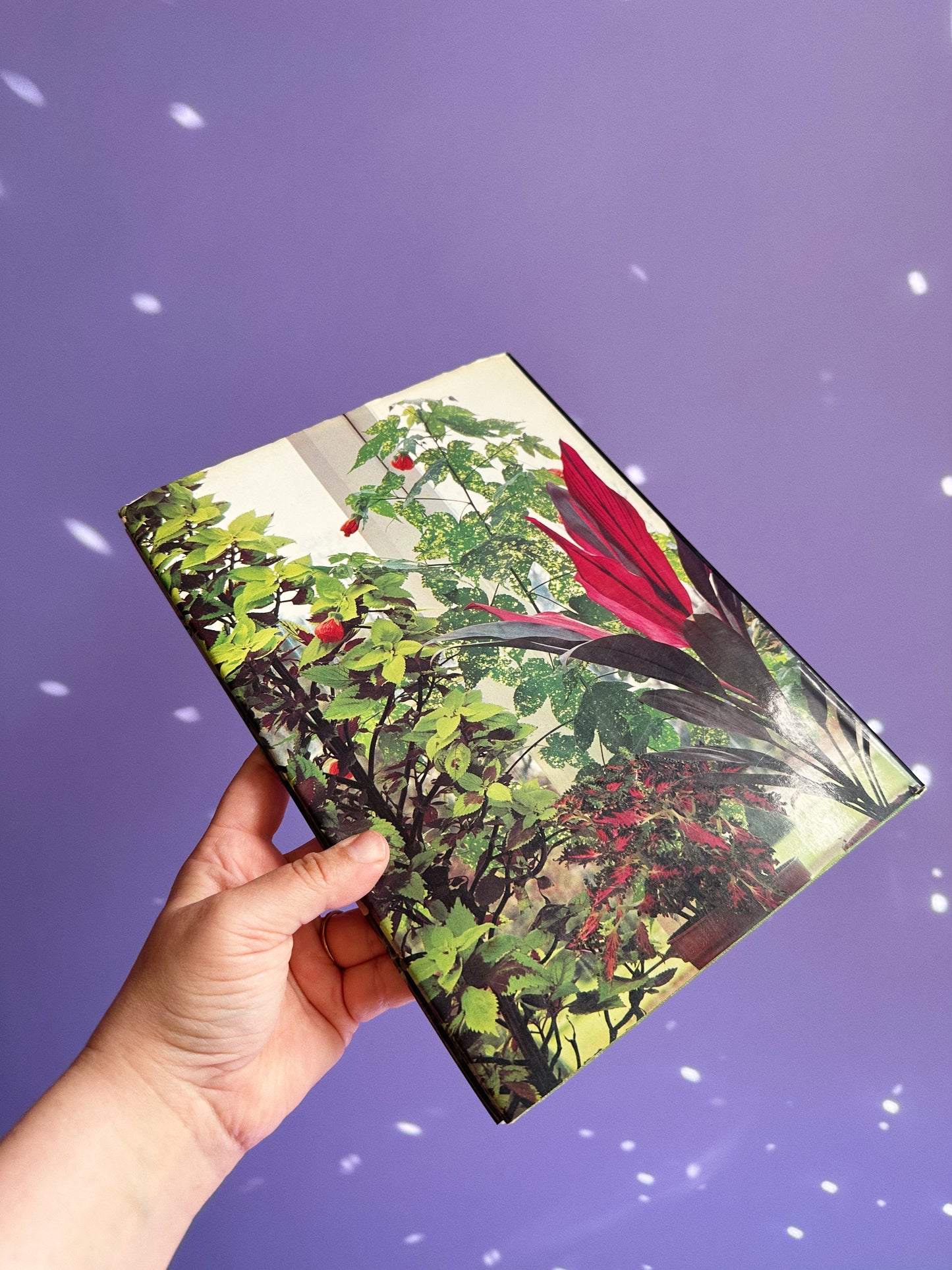 Houseplants & Indoor Gardening by Cyril C. Harris (1973, Hardcover)