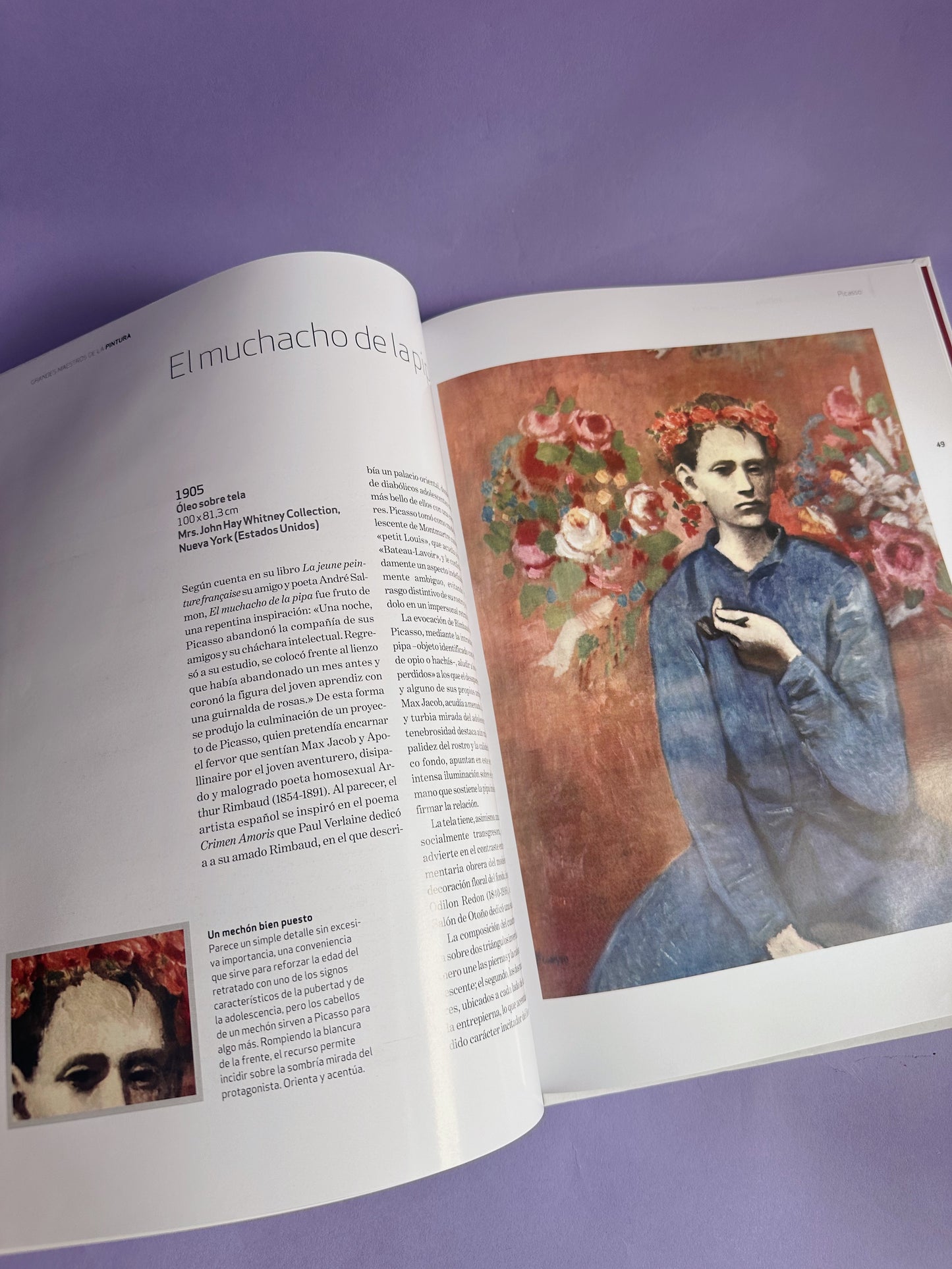 Grandes Maestros de la Pintura Pablo Picasso Art Hardcover Coffee Table Book
