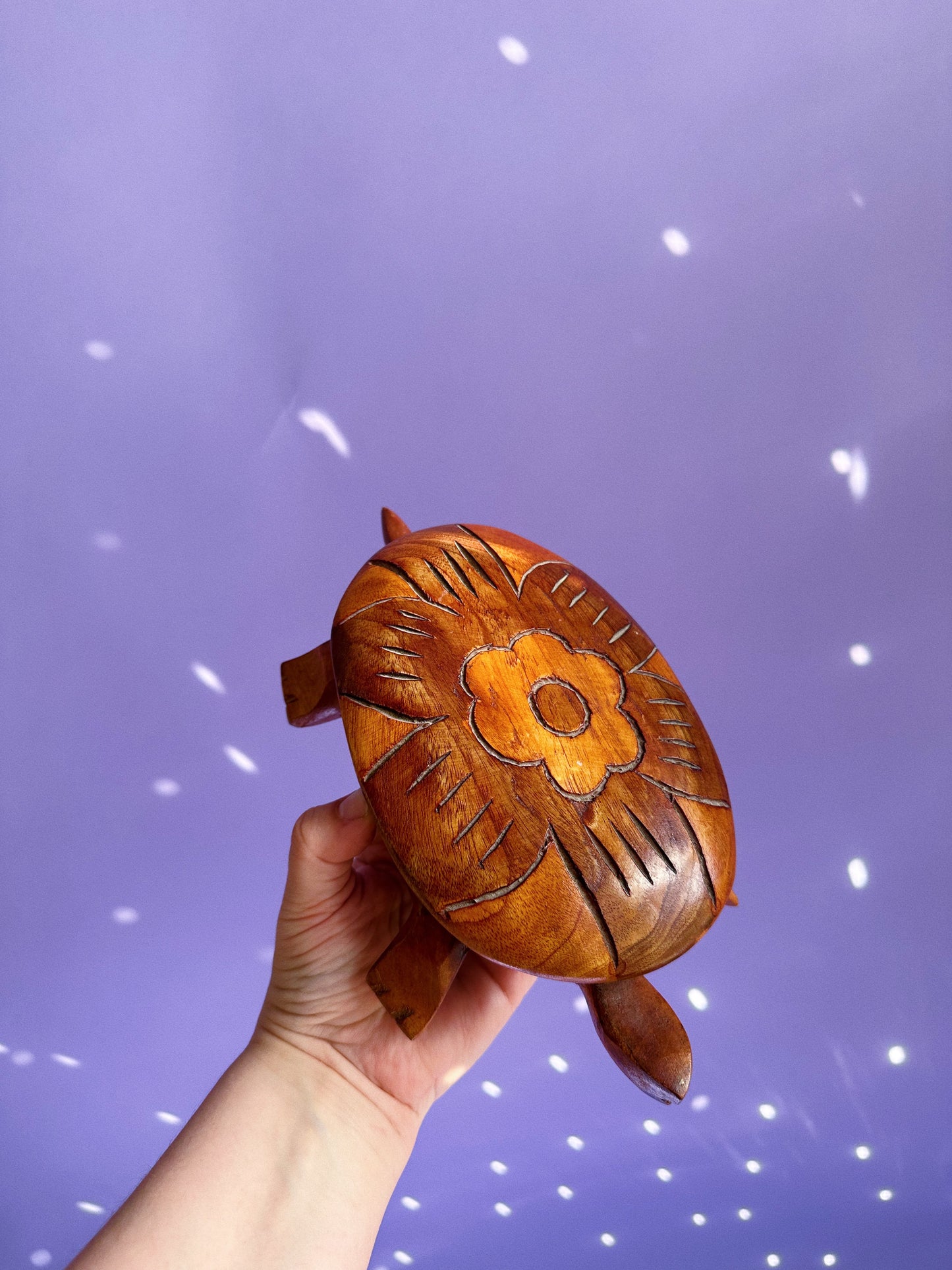 Vintage Large Handcarved Wooden Turtle Boxes