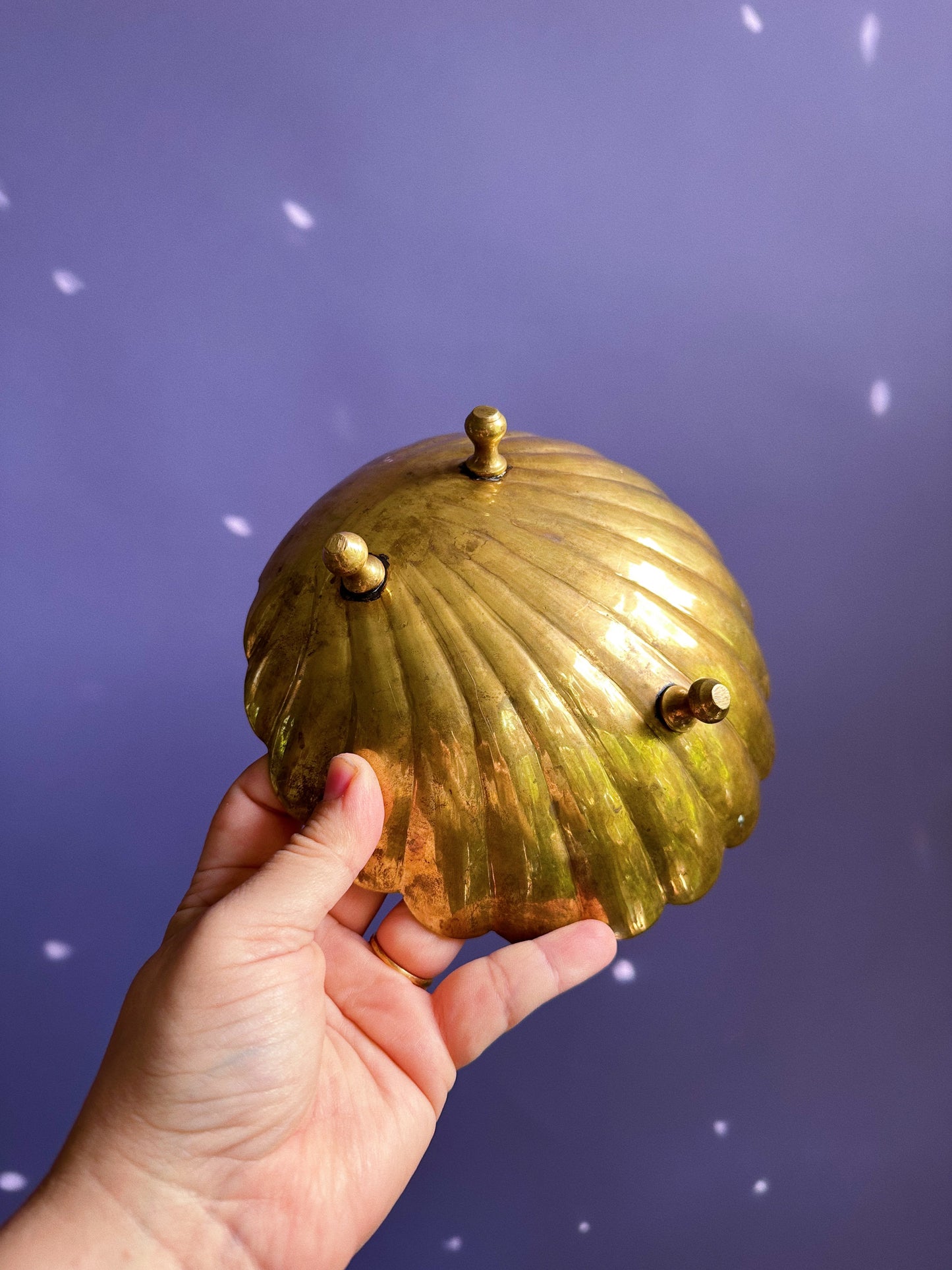 Heavy Brass Shell Throw Dish