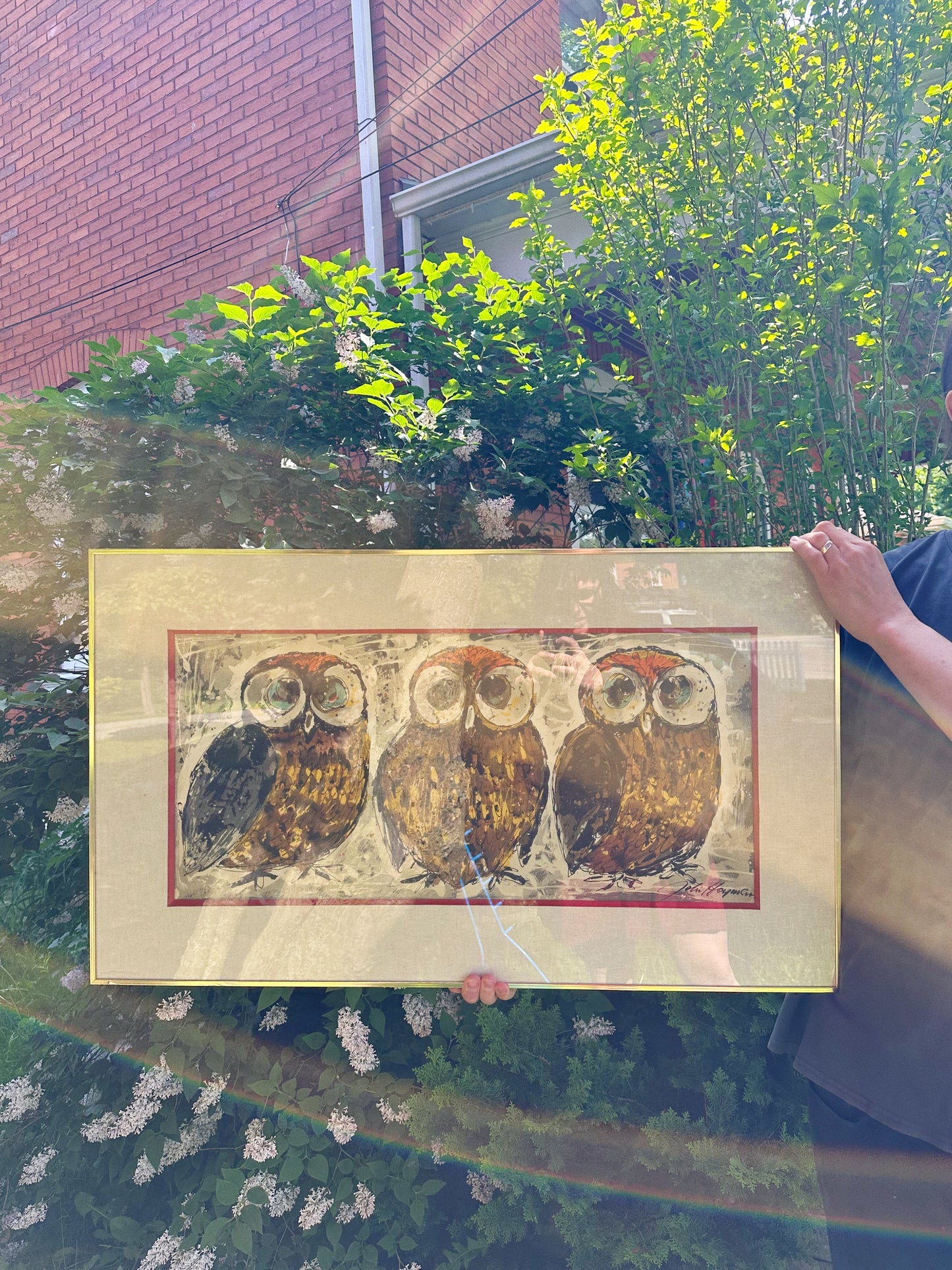 Large MCM 3 Owls Matted & Framed Art by John Hoyman 1960s