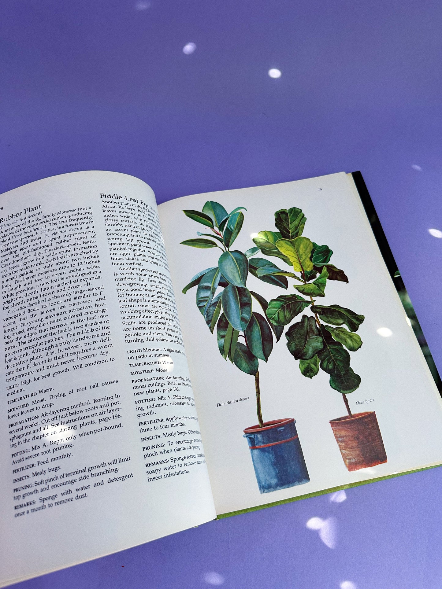 Complete Book of Houseplants Hardcover Coffee Table Book