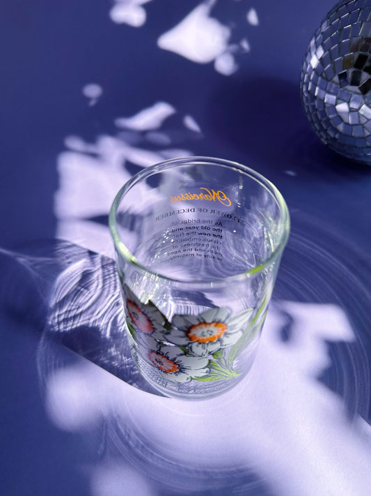 Vintage Floral Brockway Narcissus December Medium Glass Tumblers