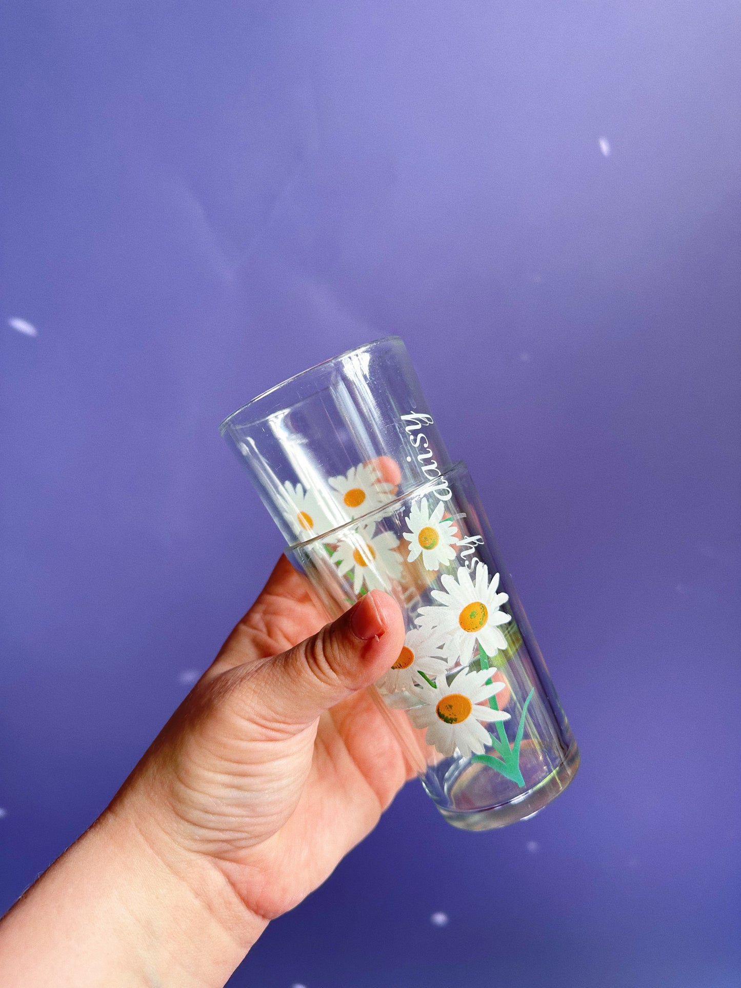 Pair of Vintage Daisy Juice Glasses