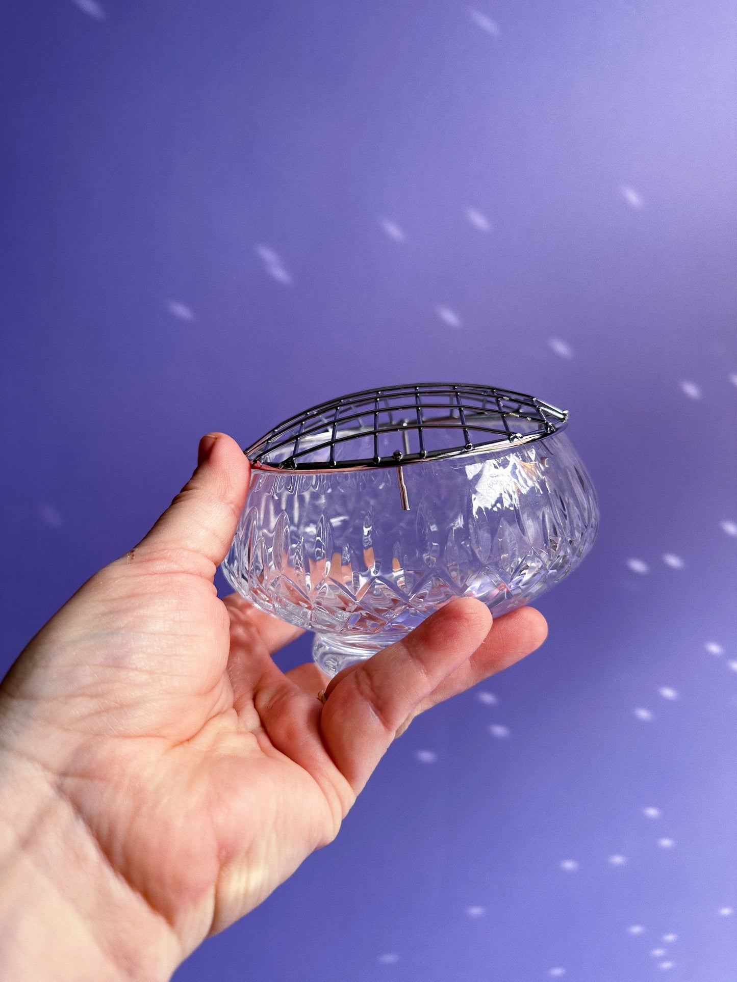 Clear Cut MCG Metropoliton Glass Flower Frog Bowl with Metal Grid