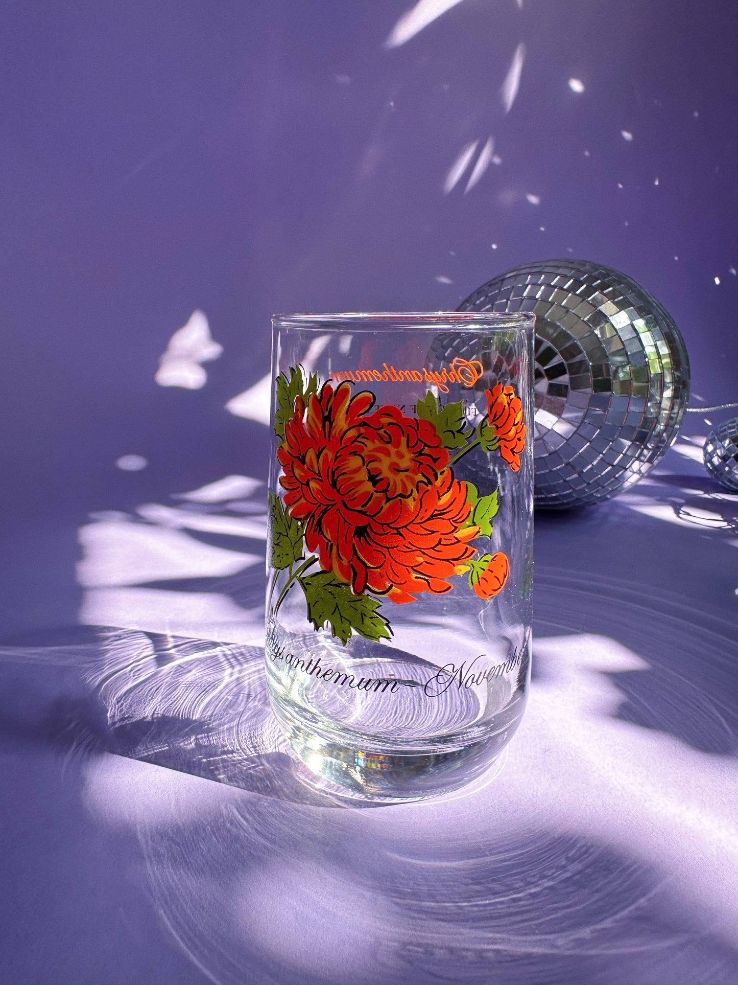 Vintage Floral Brockway Chrysanthemum November Medium Glass Tumbler