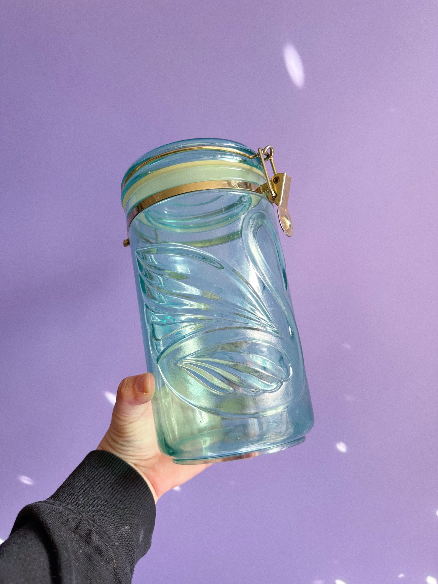 Vintage Acrylic Teal Swan Canisters