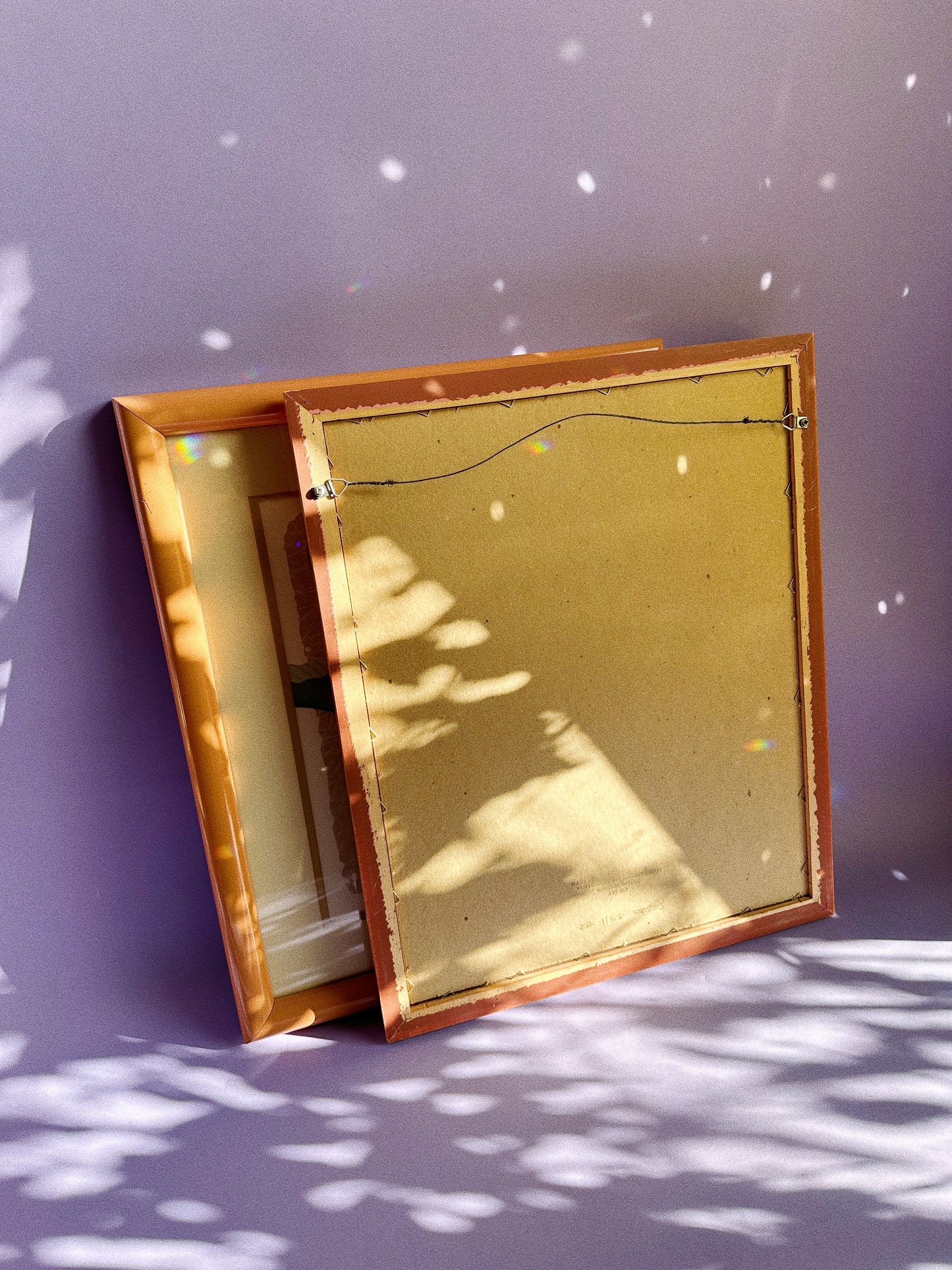 Vintage Post Modern Harry Wysocki Peach Framed Vintage Flower Prints