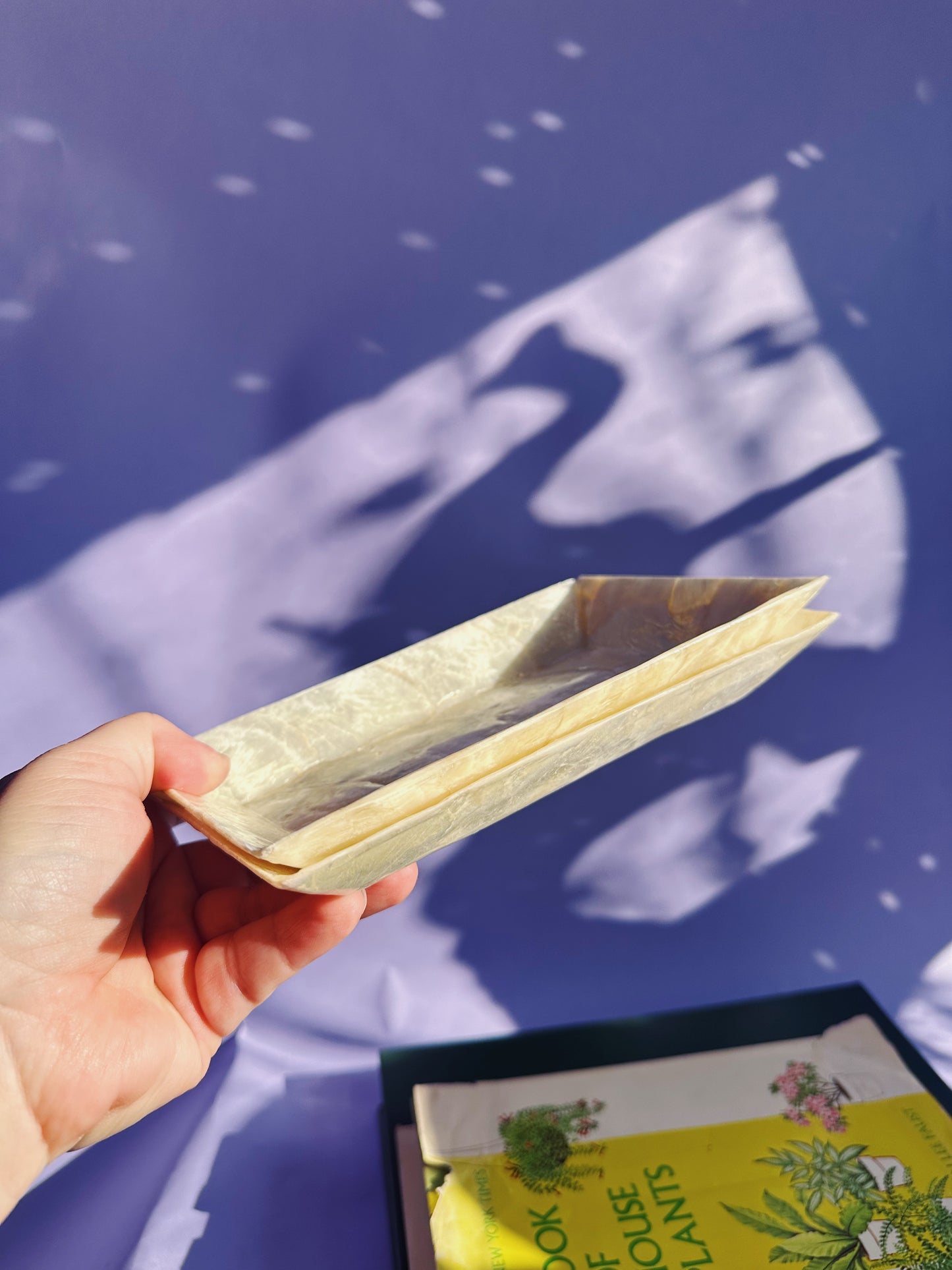 Vintage Pair of Capiz Shell Rectangle Throw Dishes