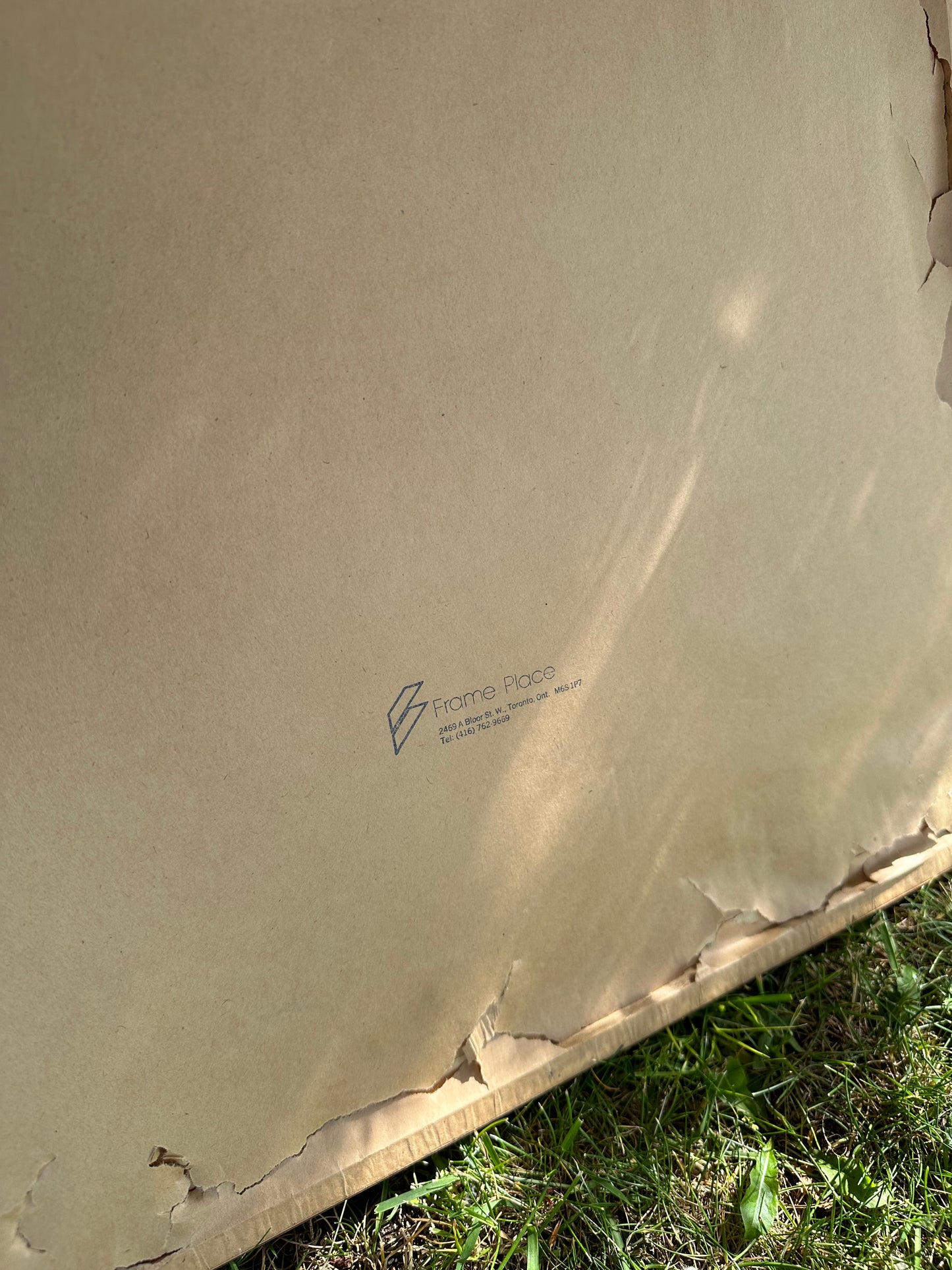 Vintage Post Modern Dusty Rose Framed Aaron Jones Food Squid Art Print