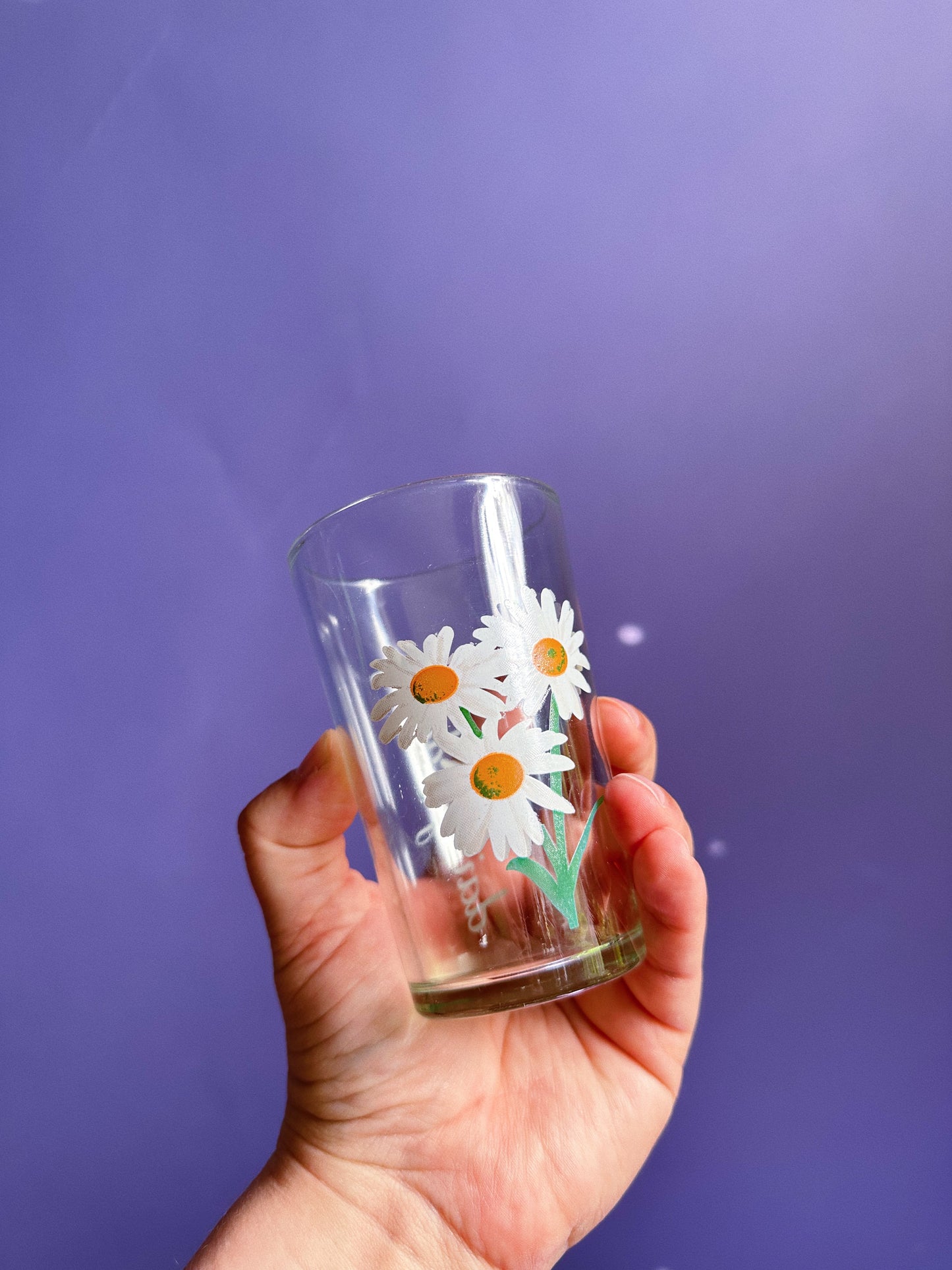 Pair of Vintage Daisy Juice Glasses