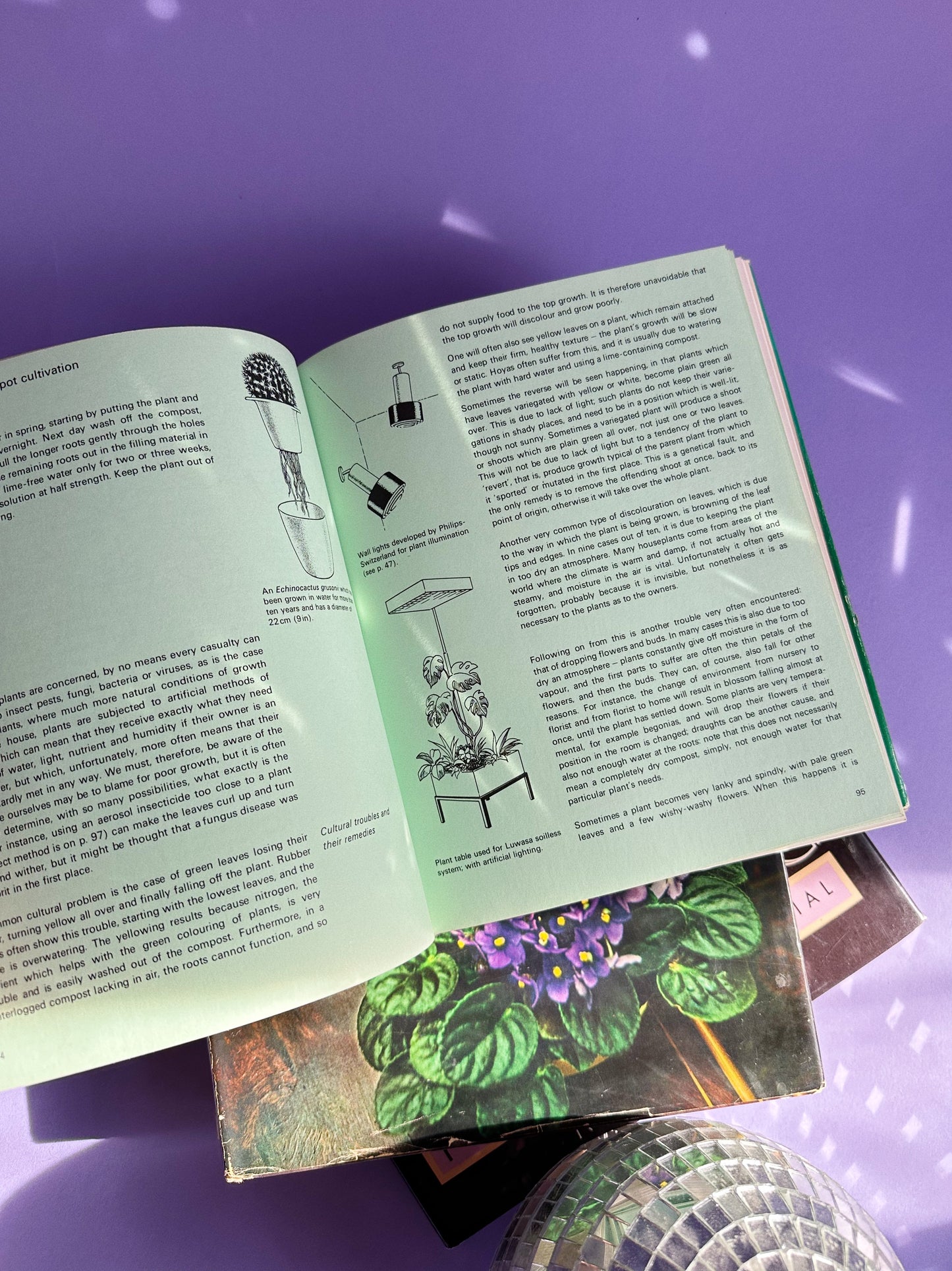 Vintage 1970s Treasury of Houseplants Hardcover Book