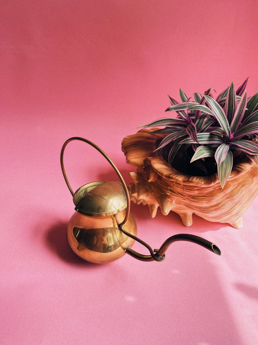 Antique Solid Brass Watering Can