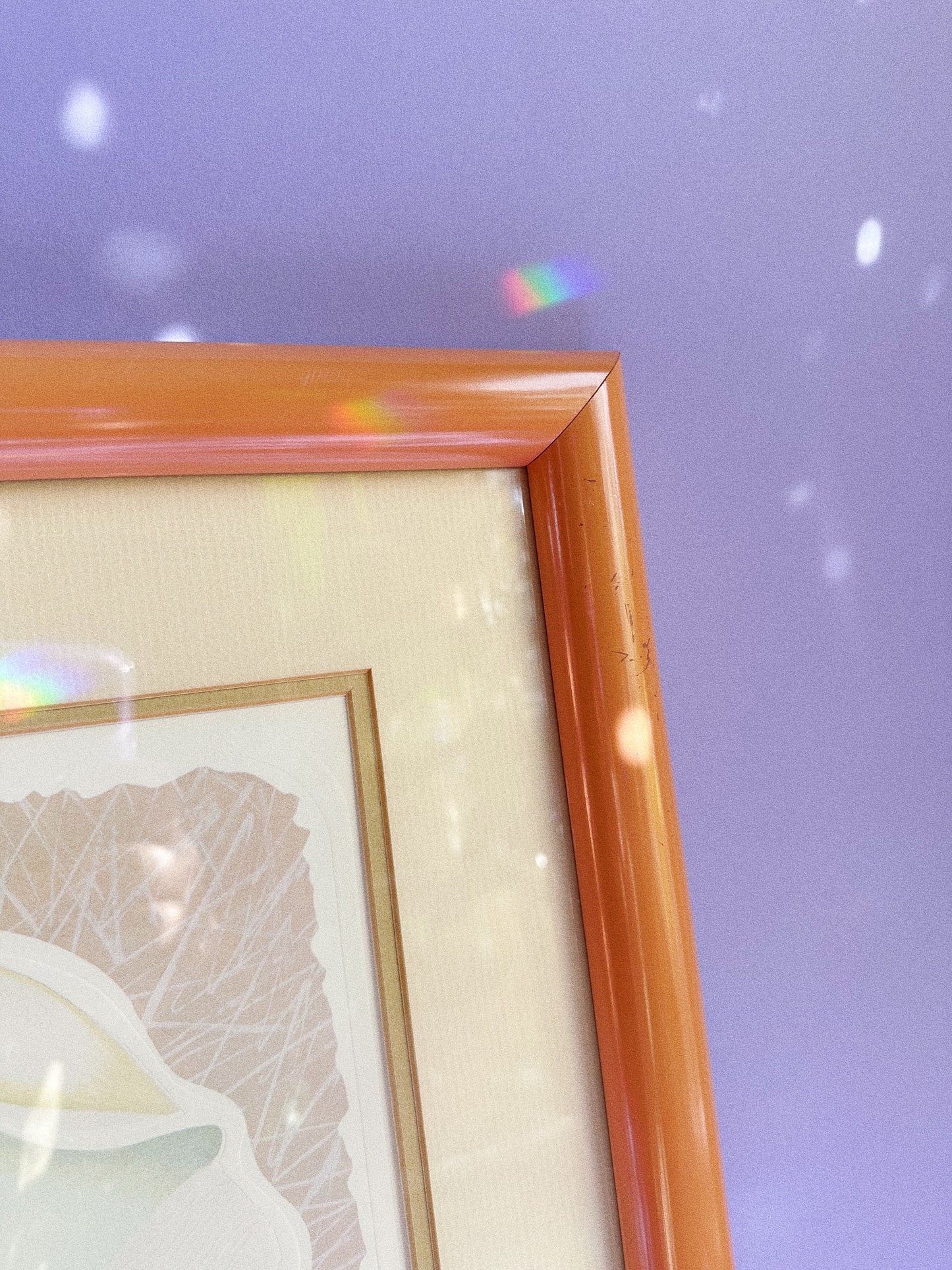 Vintage Post Modern Harry Wysocki Peach Framed Vintage Flower Prints