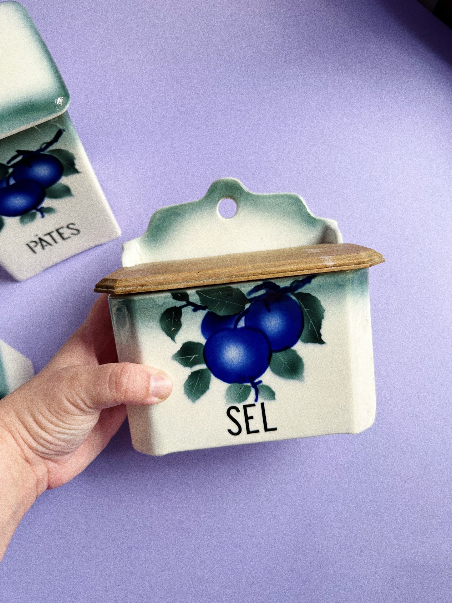 1920s Antique Porcelain Kitchen Canisters by Ditmar Urbach