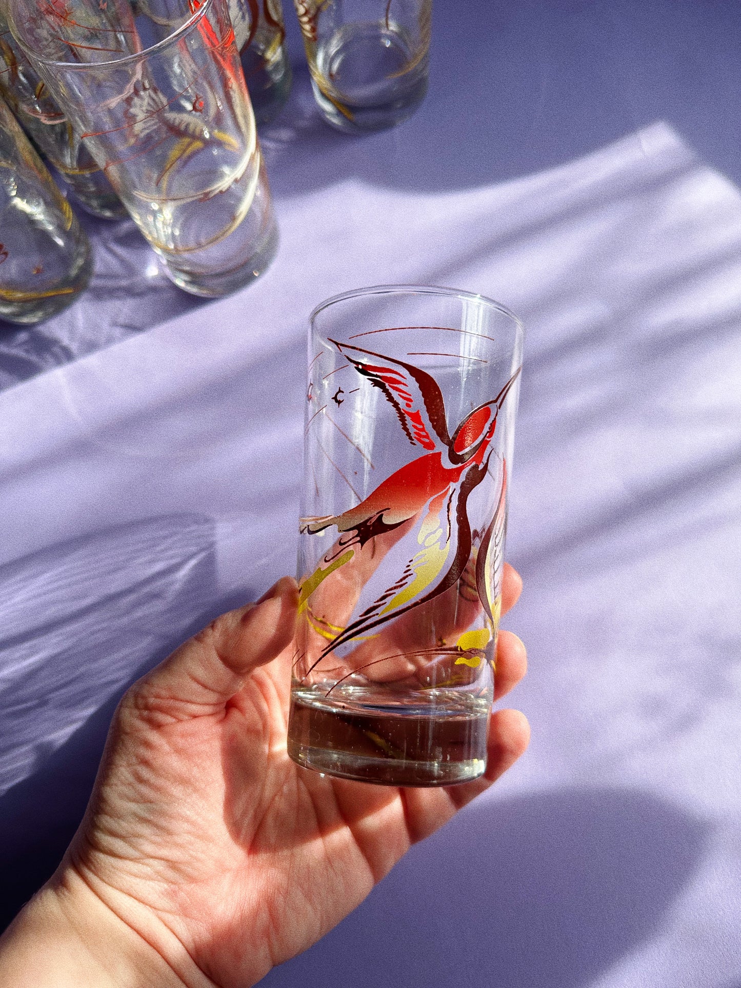 Vintage 1960s Cocktail Glass Set of 8, Red and Yellow Birds In Box Gaytime Glass