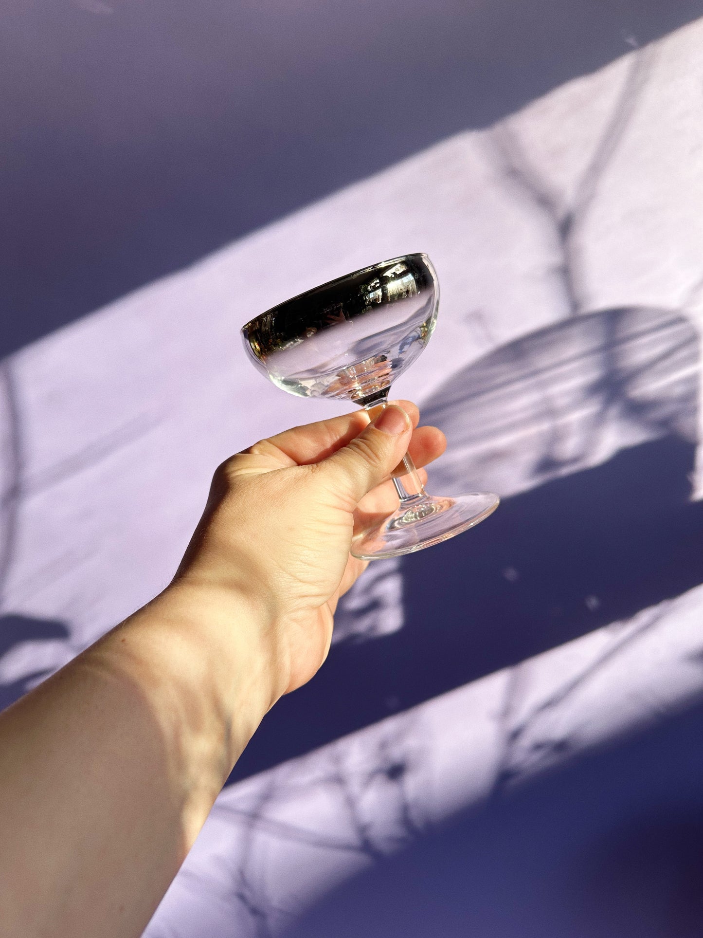 Vintage MCM Silver Ombré Luminarc Champagne Coupe Glasses Barware France