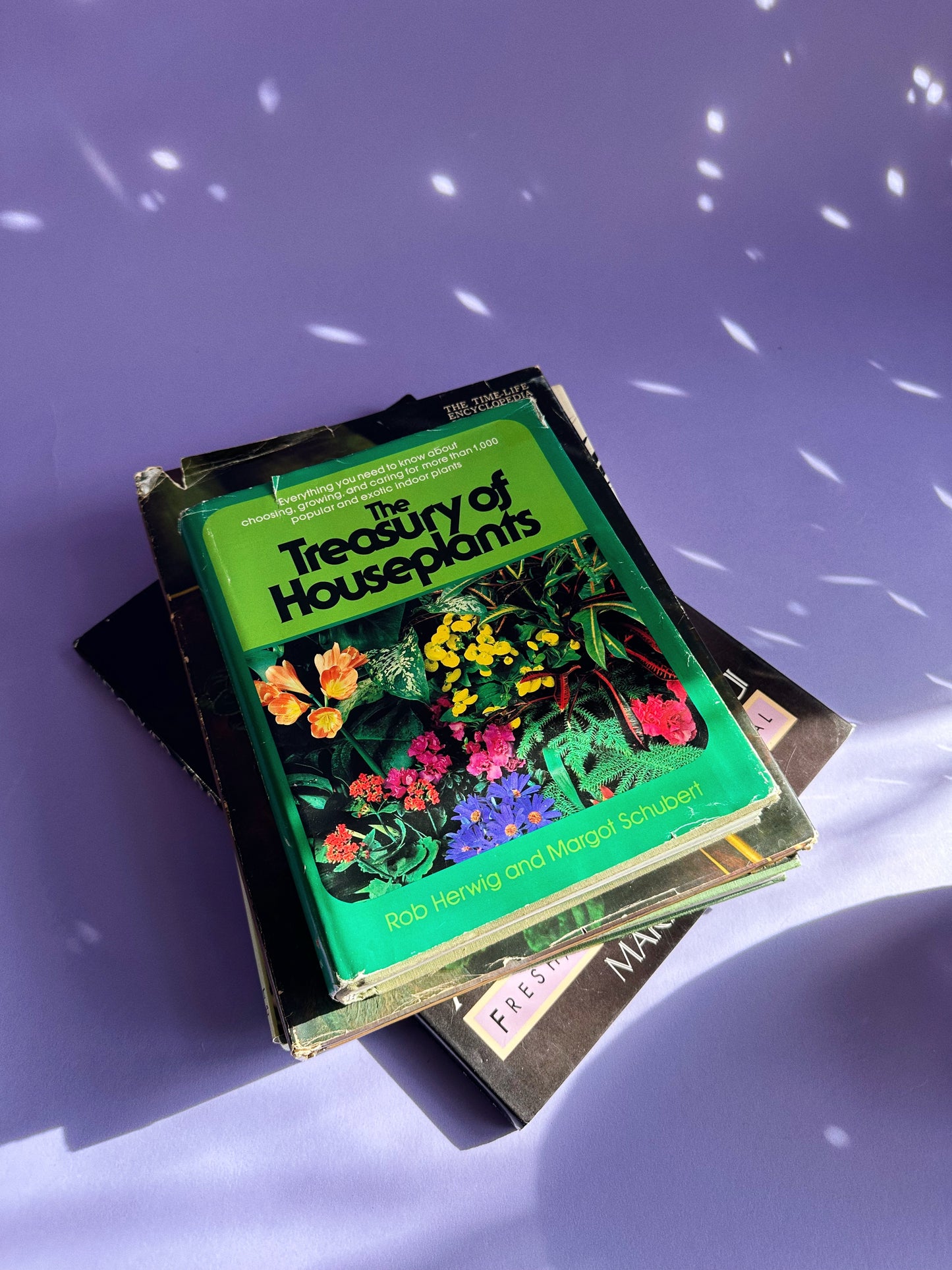 Vintage 1970s Treasury of Houseplants Hardcover Book