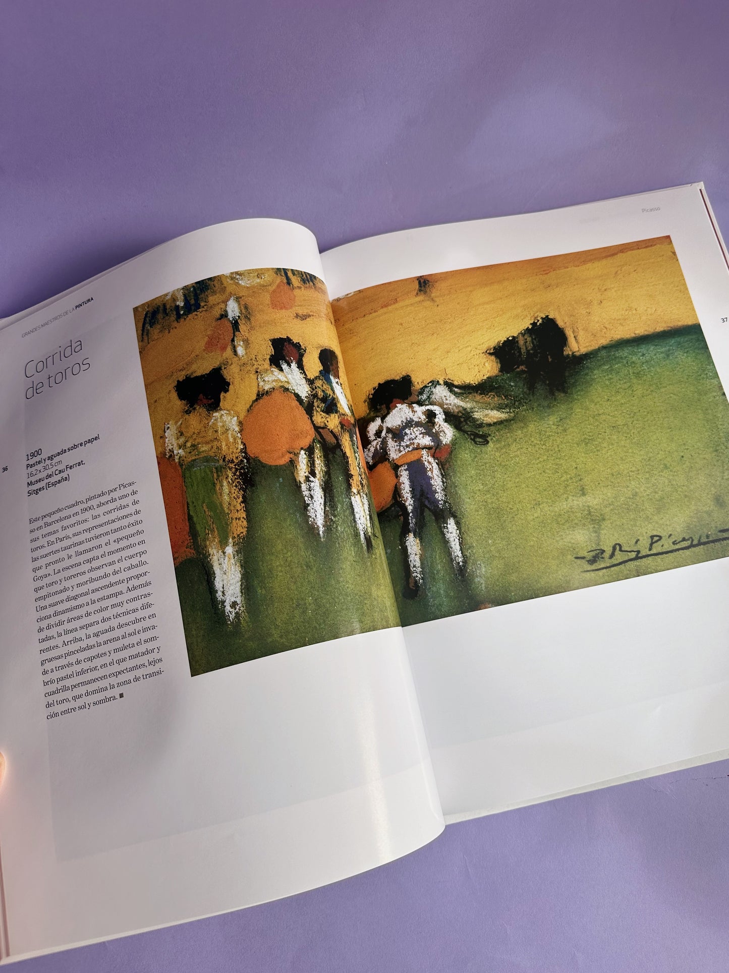 Grandes Maestros de la Pintura Pablo Picasso Art Hardcover Coffee Table Book