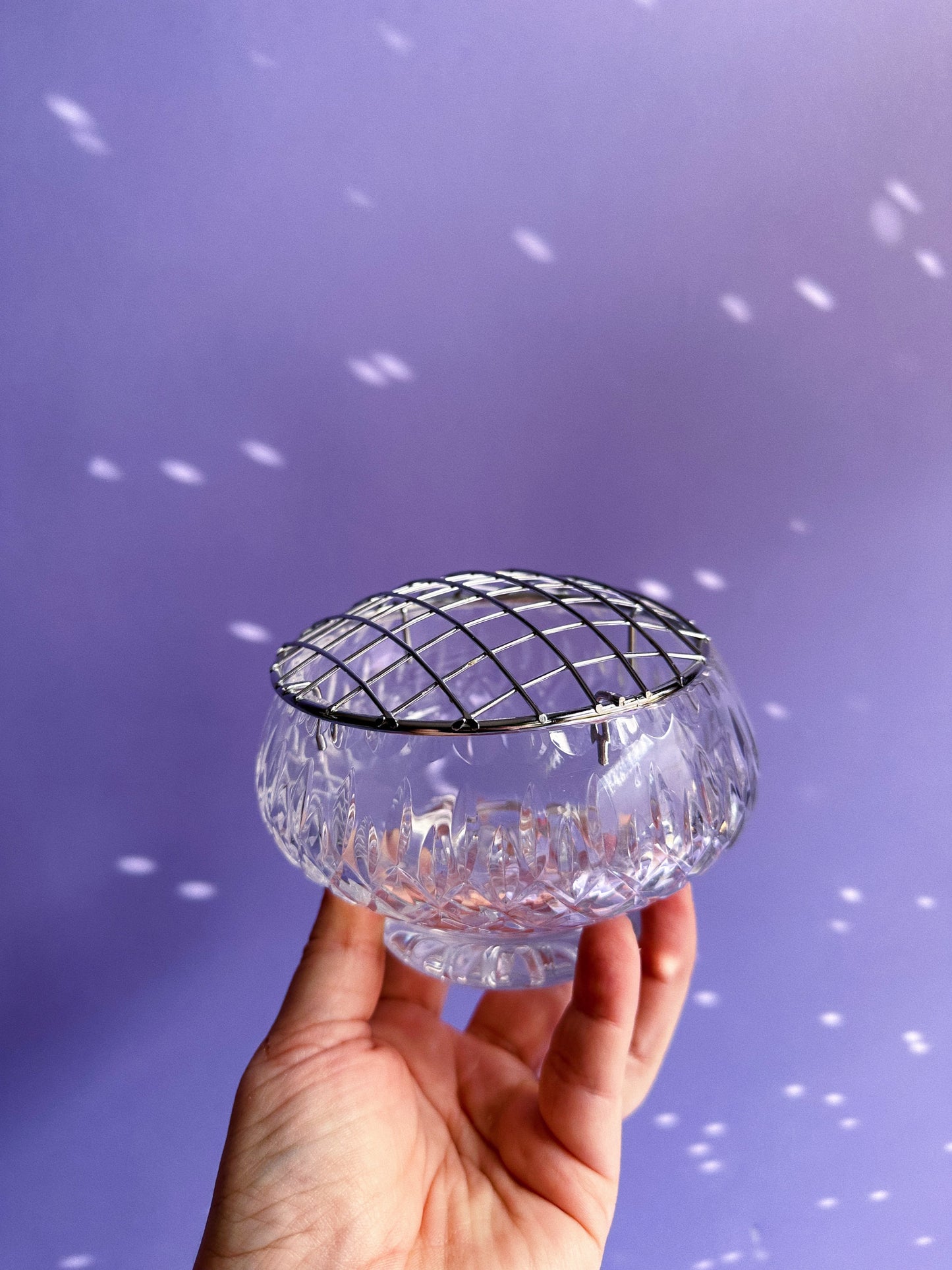 Clear Cut MCG Metropoliton Glass Flower Frog Bowl with Metal Grid