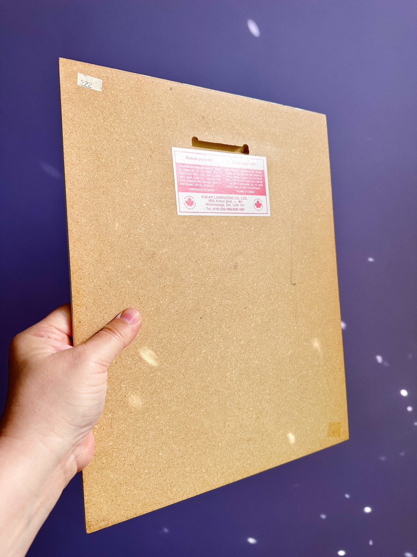 Vintage Pink White Cat Sally Ross Board Prints