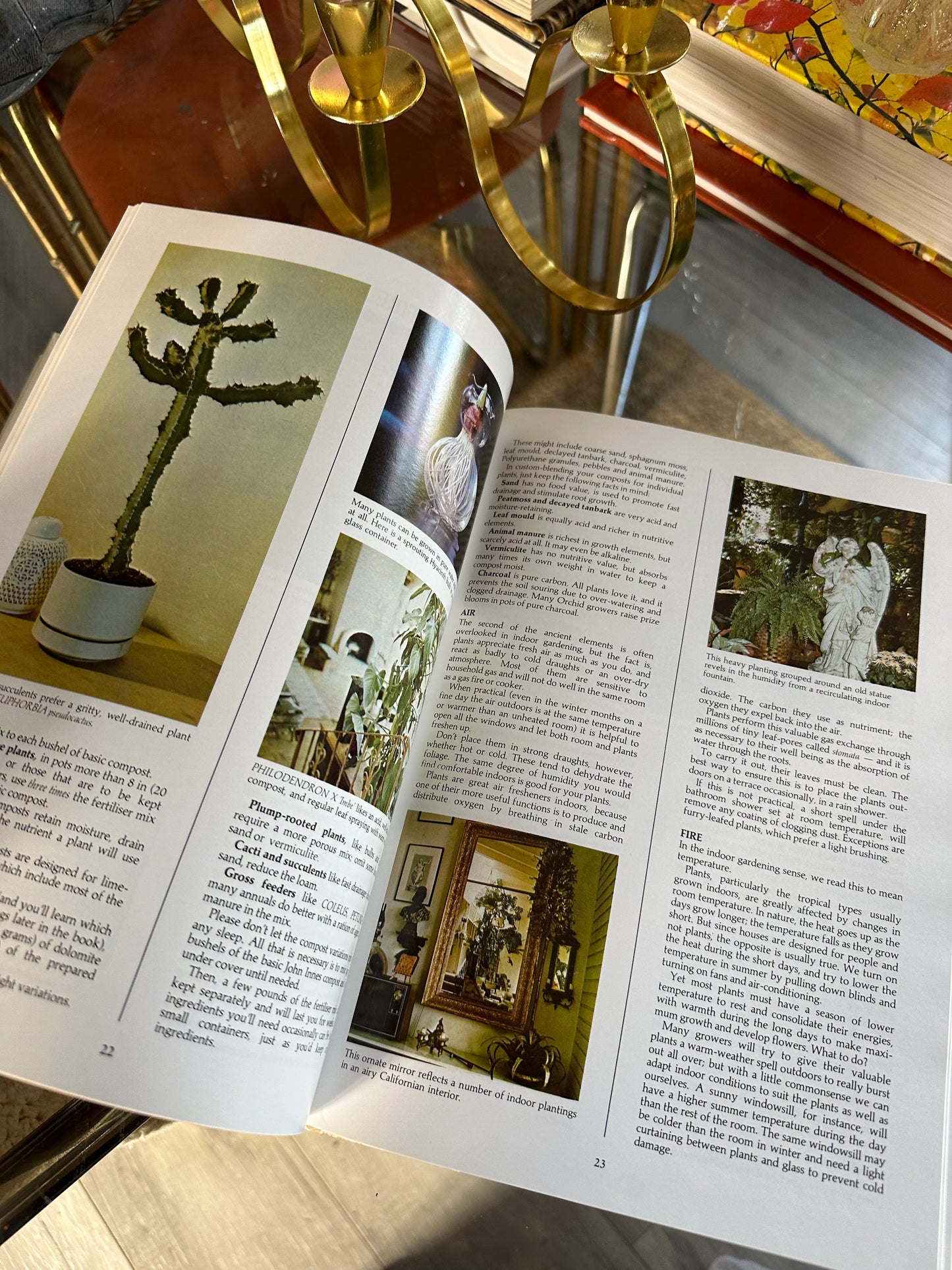 Vintage What Indoor Plant Is That Hardcover Book