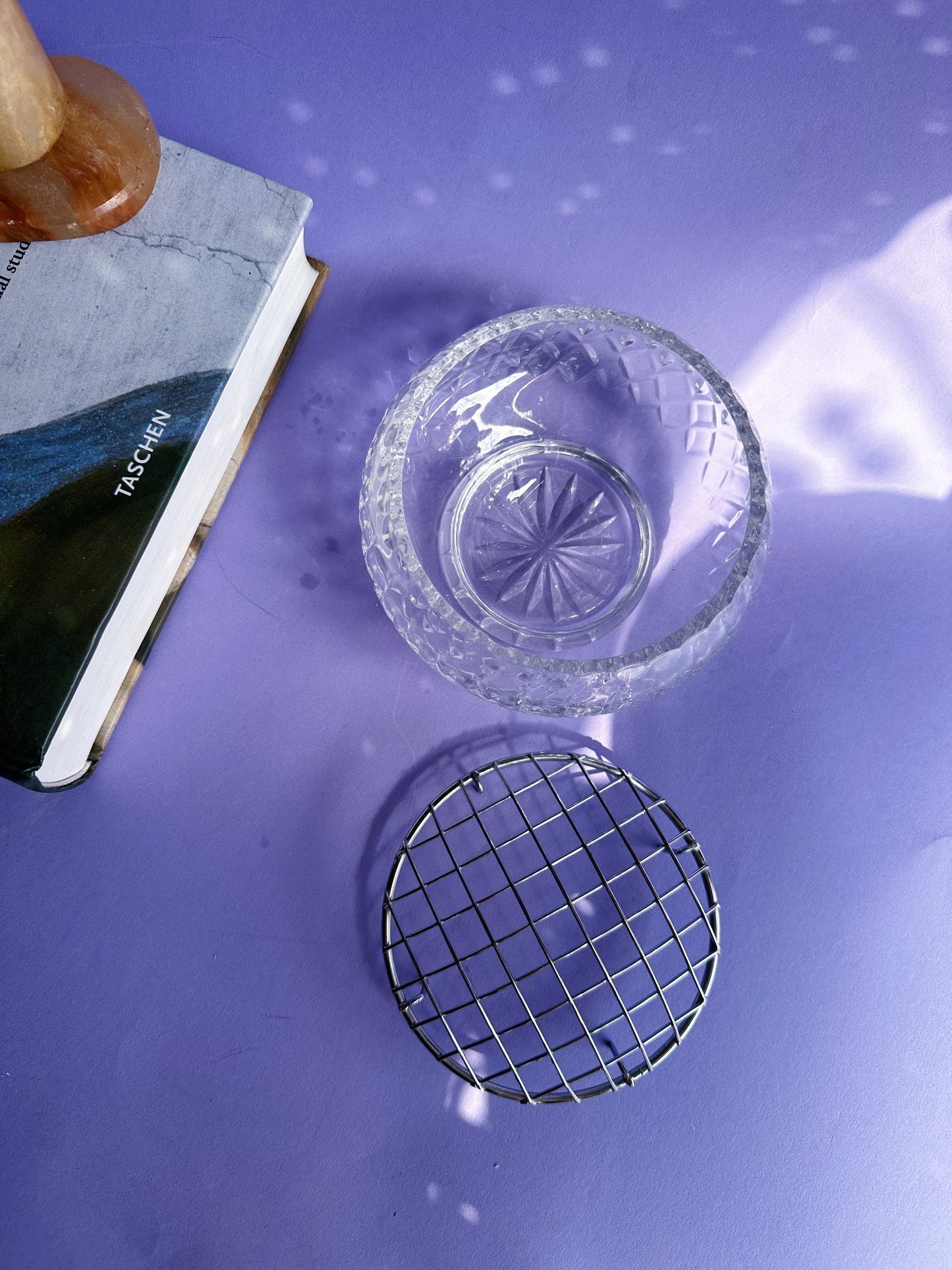 Clear Cut MCG Metropoliton Glass Flower Frog Bowl with Metal Grid