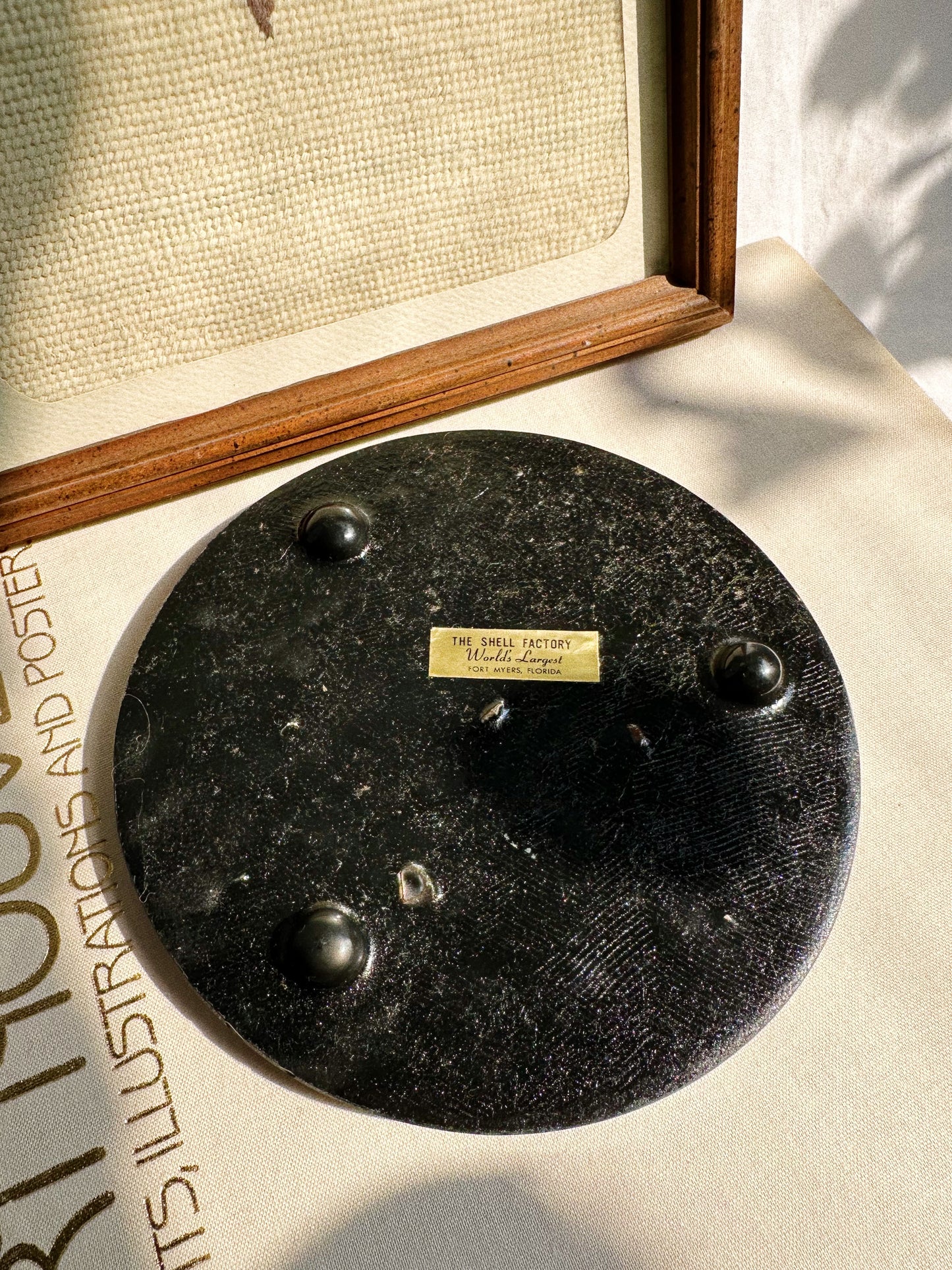 Vintage Lucite Crushed Shell Trivet