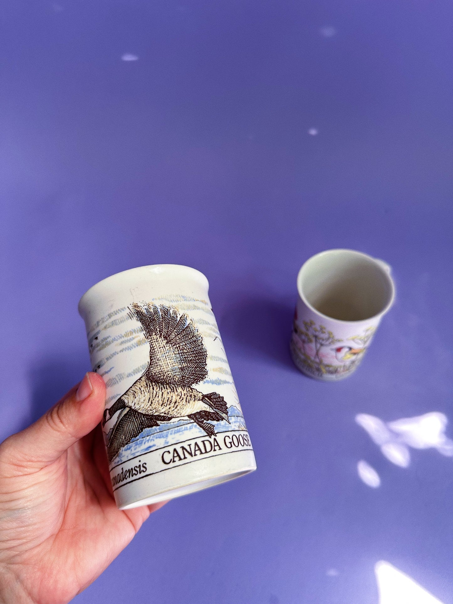 Dunoon Scotland Stoneware Coffee Tea Mugs Goldfinch and Canada Goose Birds