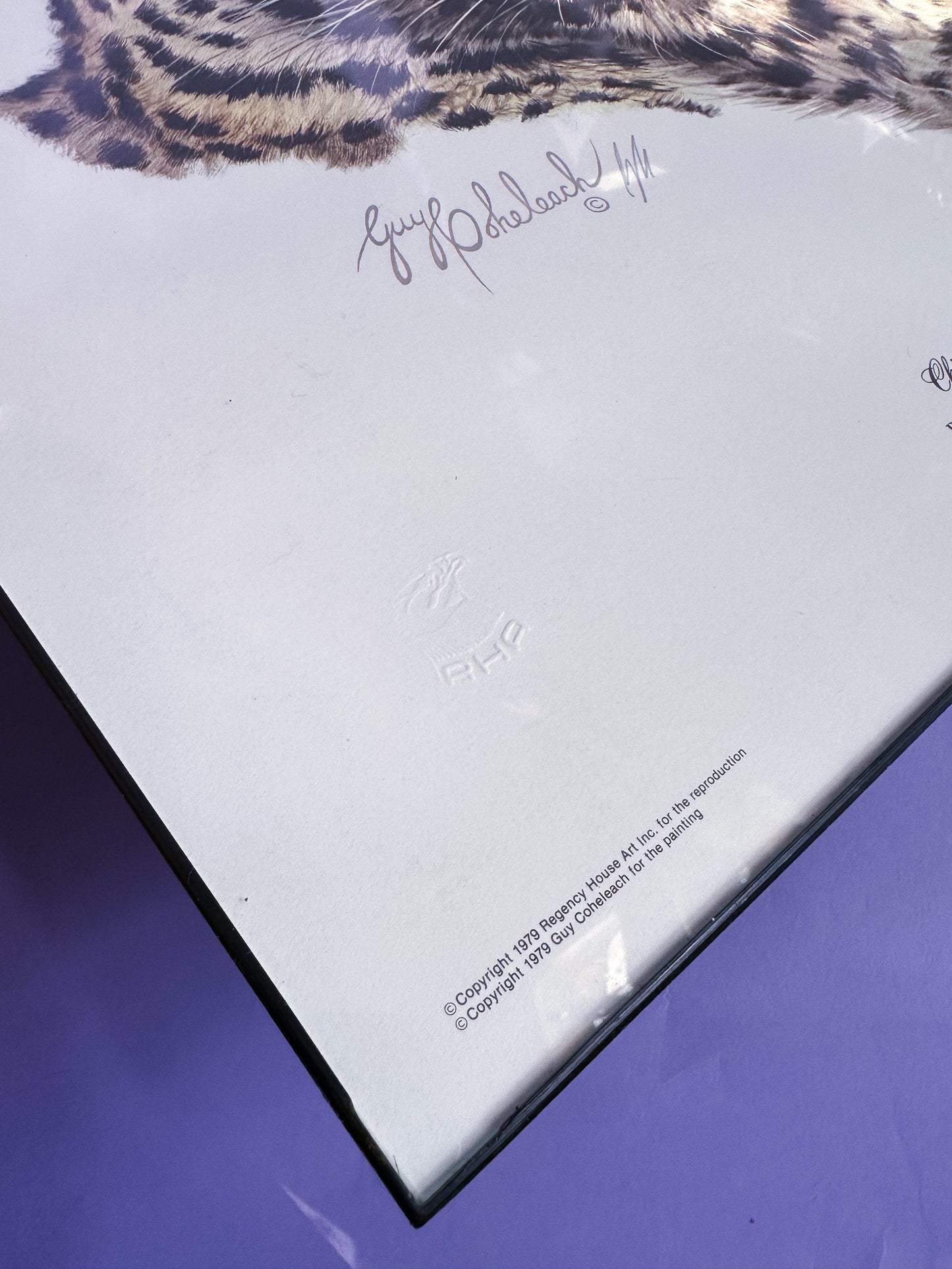 Framed Vintage Chinese Leopard Head Art Guy Coheleach Print Matted Signed