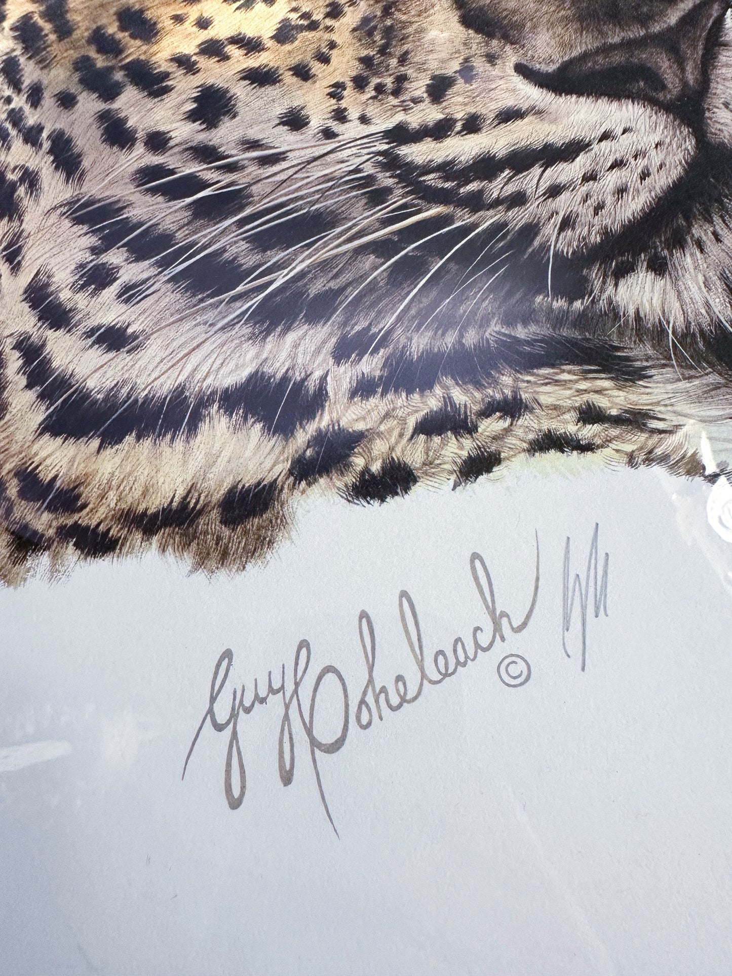 Framed Vintage Chinese Leopard Head Art Guy Coheleach Print Matted Signed