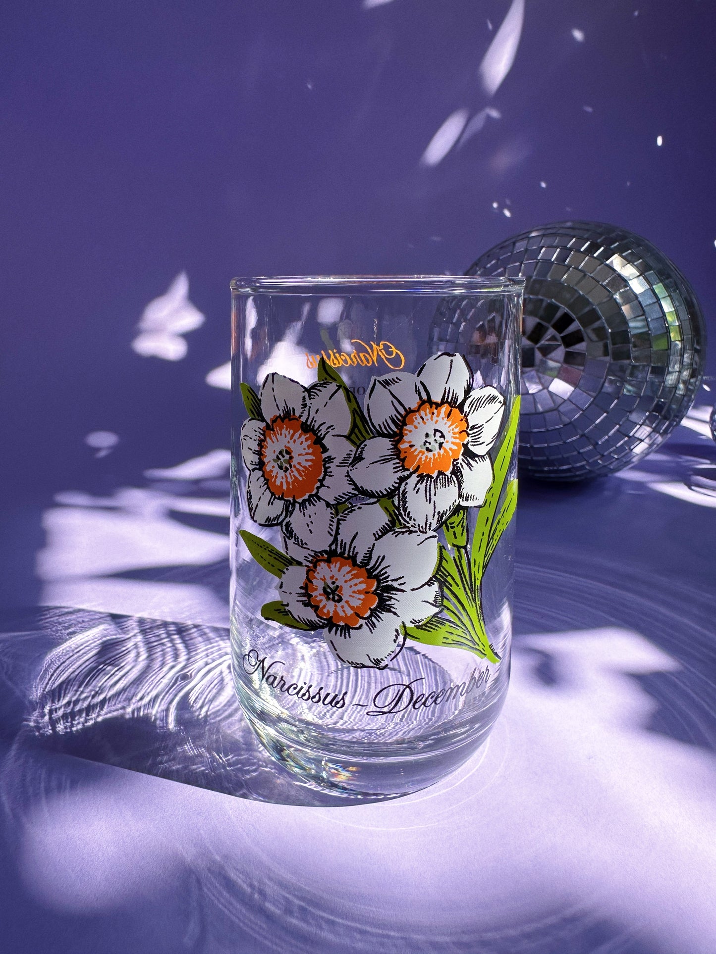 Vintage Floral Brockway Narcissus December Medium Glass Tumblers