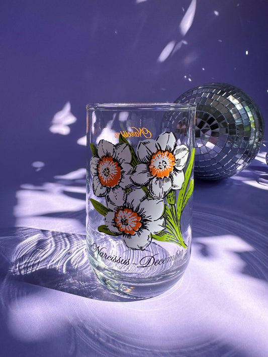 Vintage Floral Brockway Narcissus December Medium Glass Tumblers