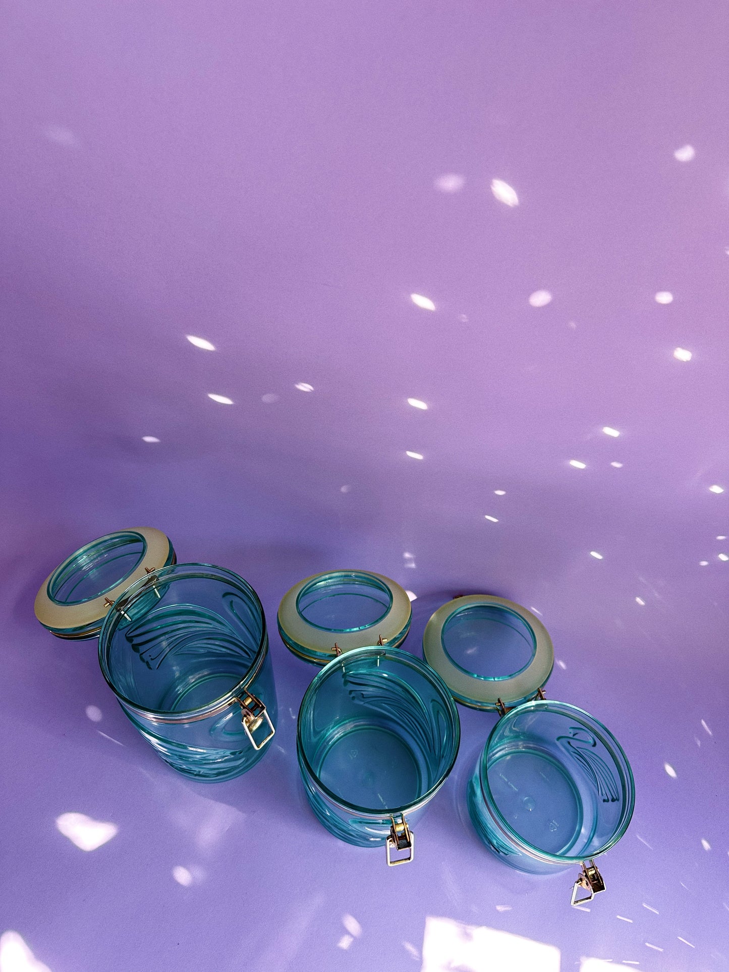 Vintage Acrylic Teal Swan Canisters