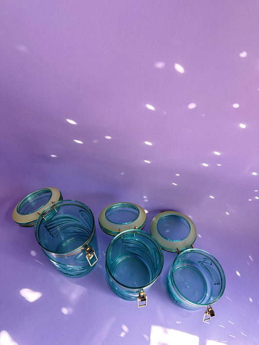 Vintage Acrylic Teal Swan Canisters