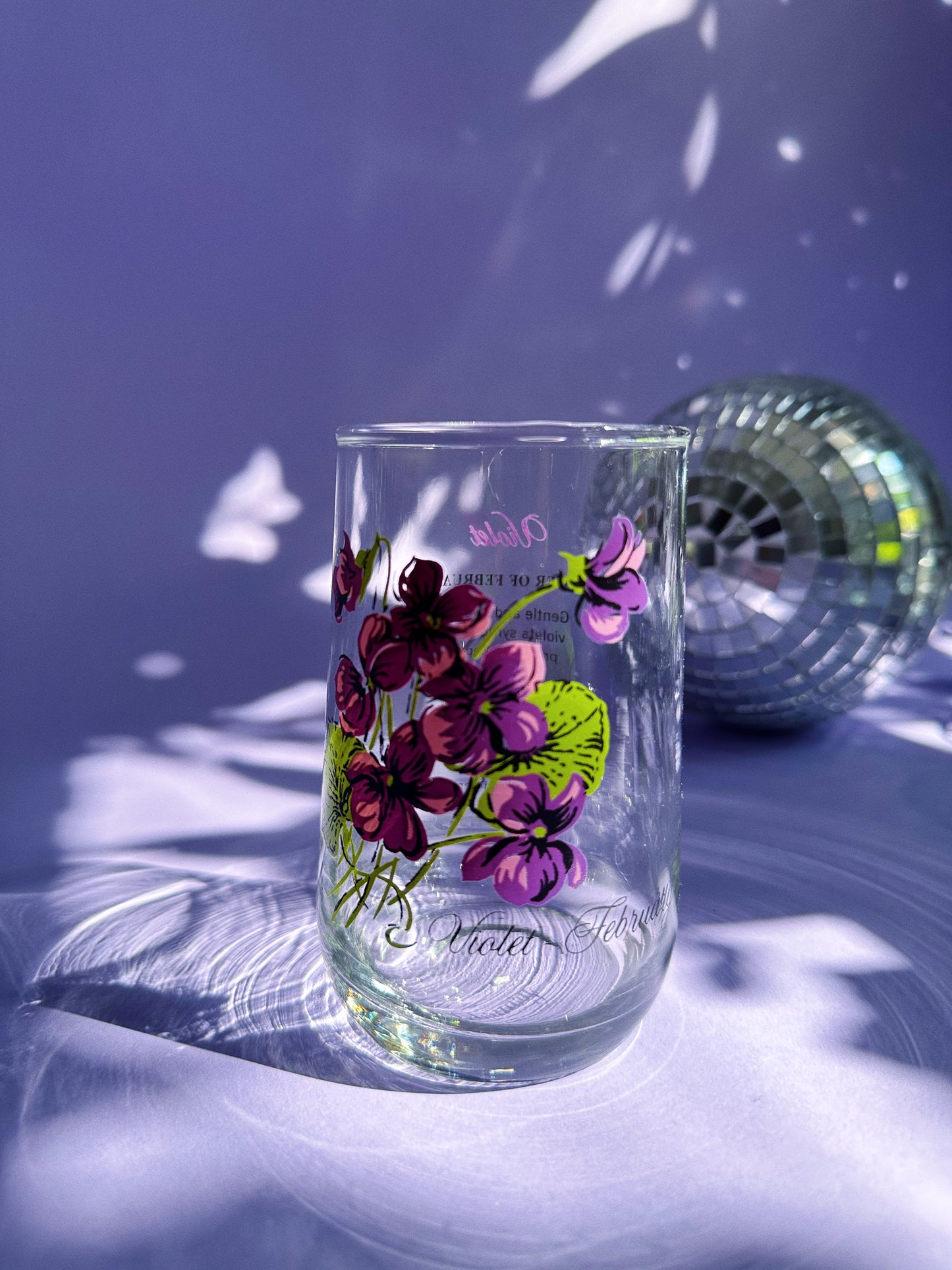 Vintage Floral Brockway Violet February Medium Glass Tumblers