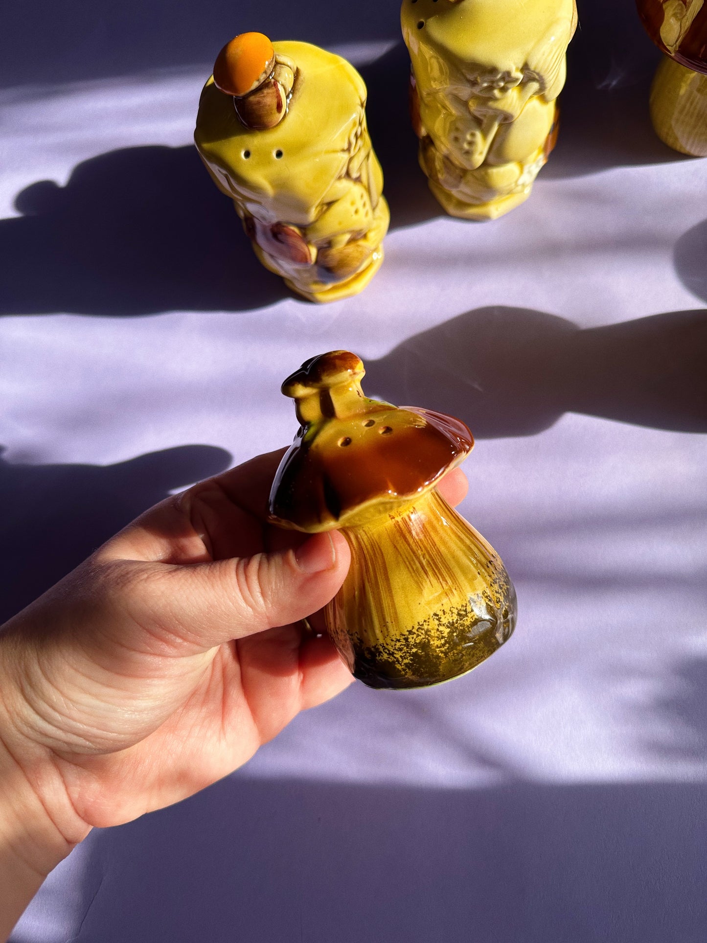 Vintage Mushroom Salt & Pepper Shakers