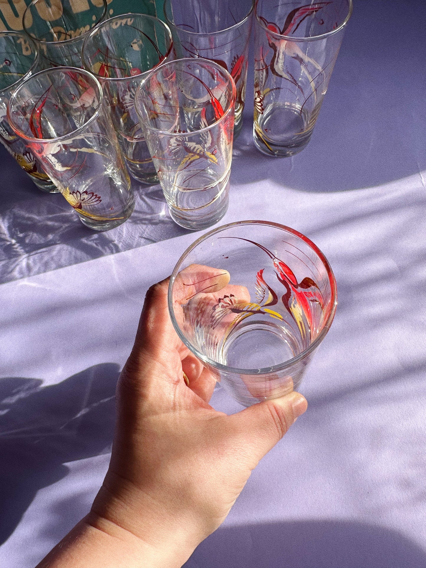 Vintage 1960s Cocktail Glass Set of 8, Red and Yellow Birds In Box Gaytime Glass