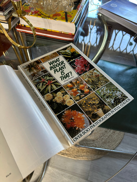 Vintage What Indoor Plant Is That Hardcover Book