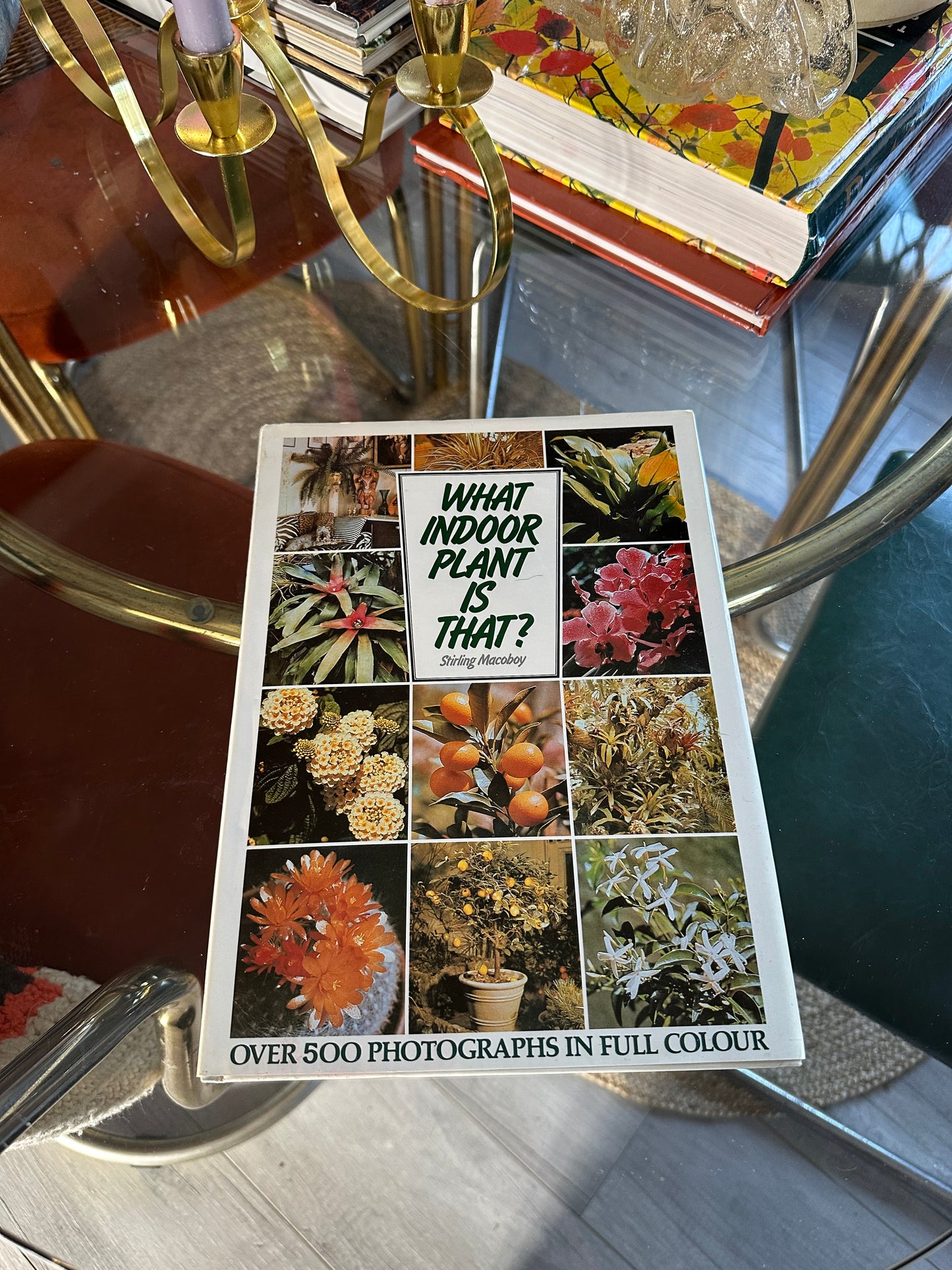 Vintage What Indoor Plant Is That Hardcover Book