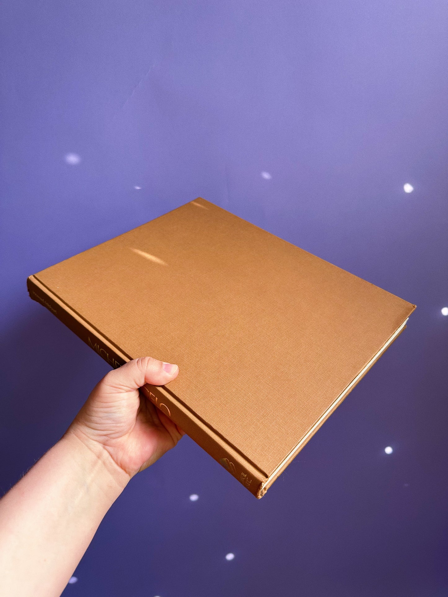 Vintage 1970s Michelangelo Hardcover Coffee Table Book