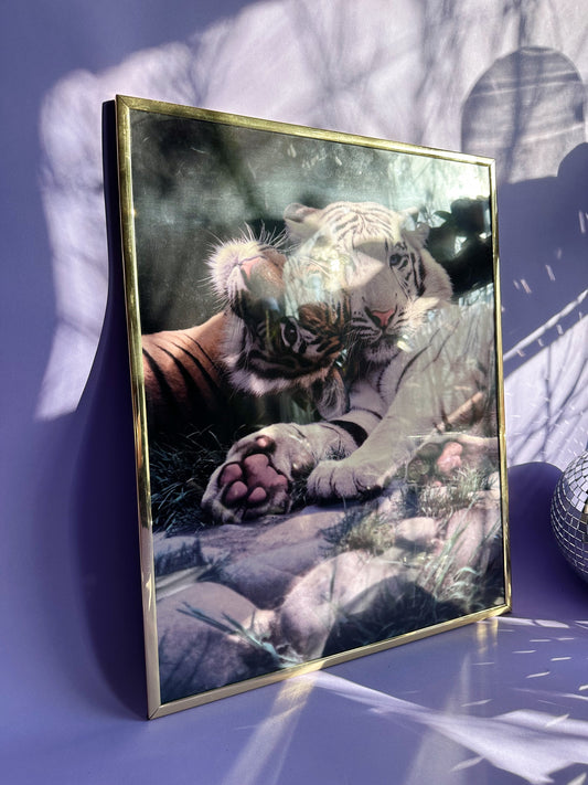 Brass Framed 1991 Impact Vintage 90s White Tiger Tigers Poster Ron Kimball