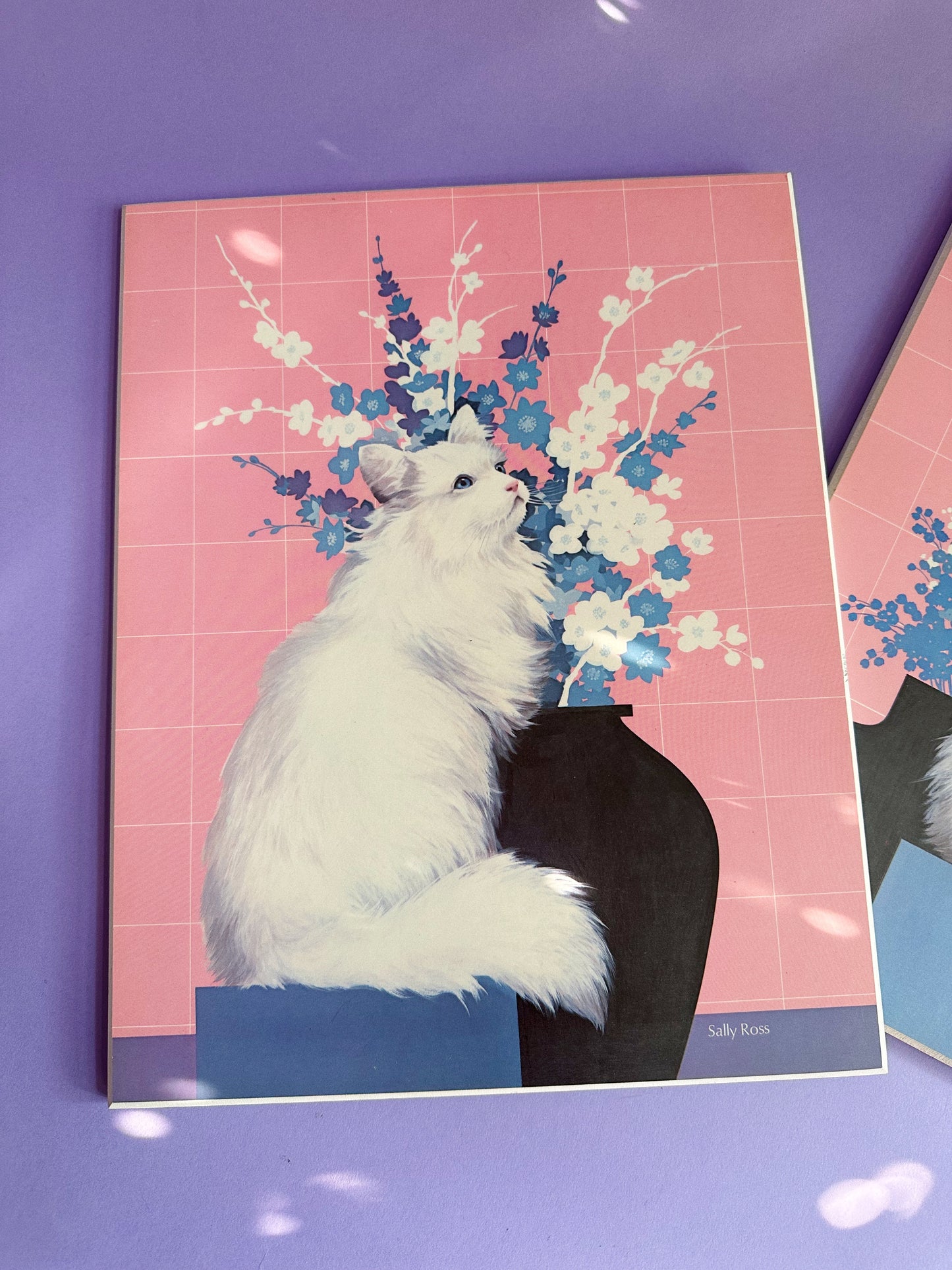 Vintage Pink White Cat Sally Ross Board Prints