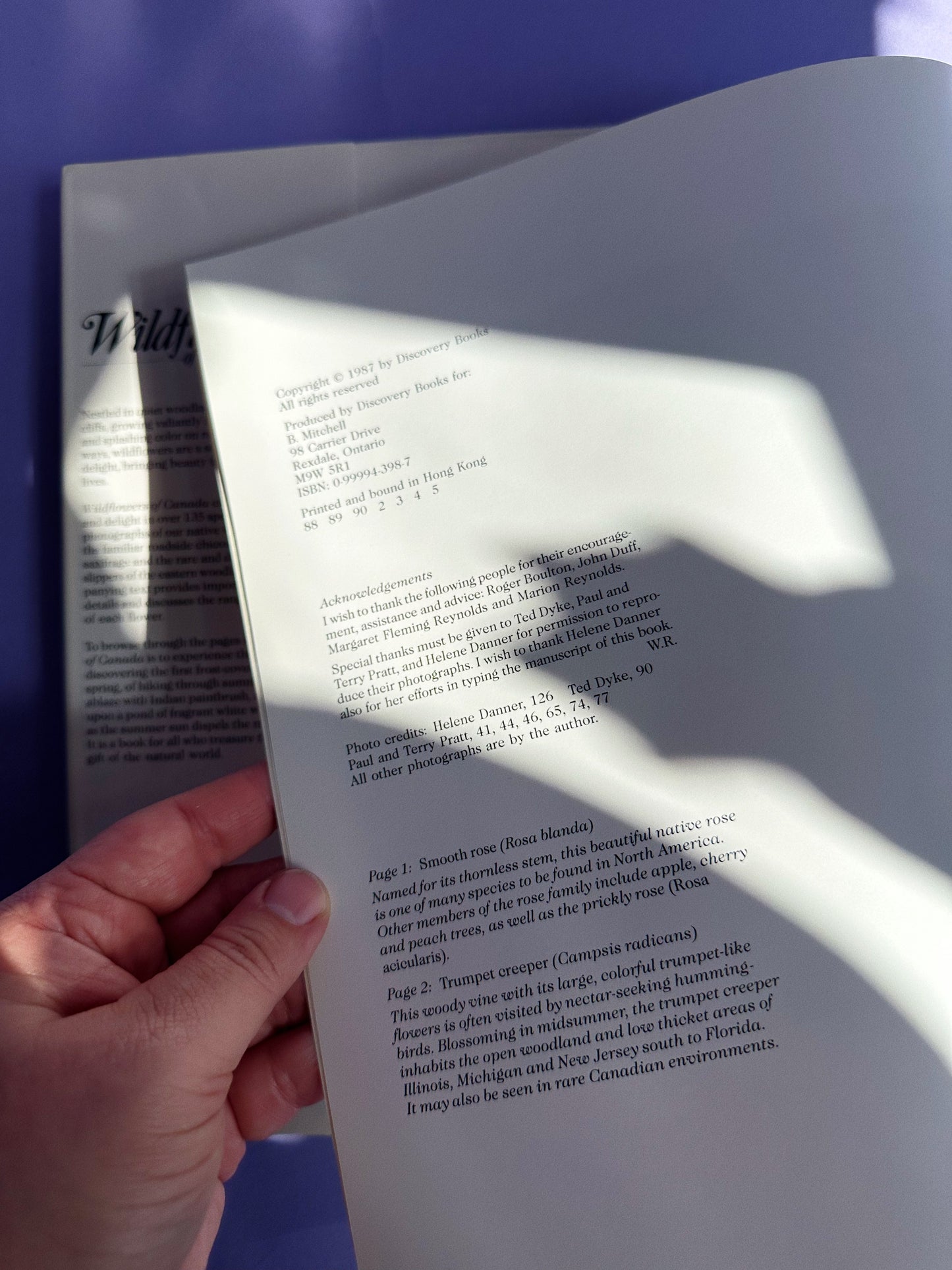 Vintage Wildflowers of Canada Hardcover Coffee Table Book