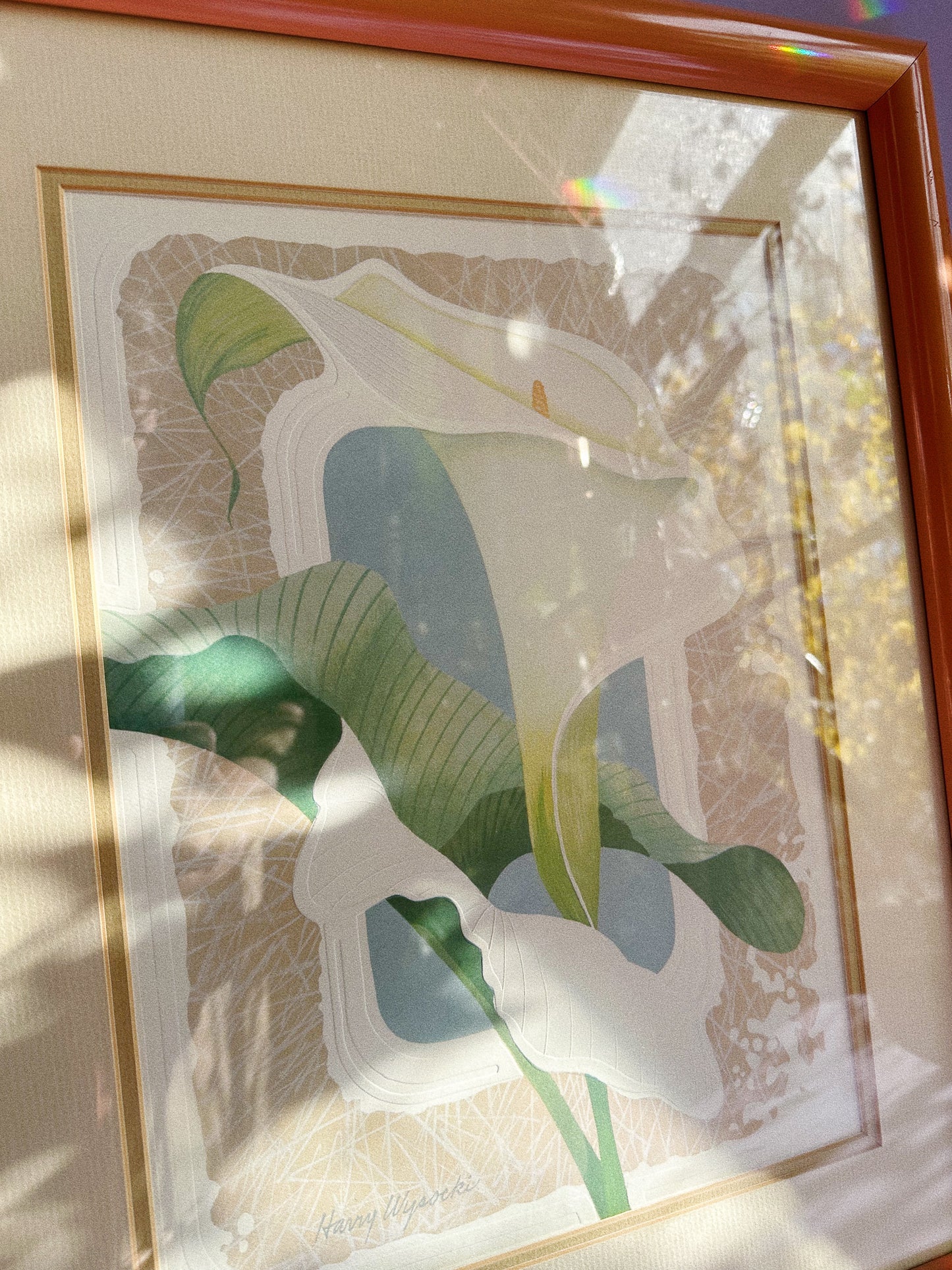 Vintage Post Modern Harry Wysocki Peach Framed Vintage Flower Prints