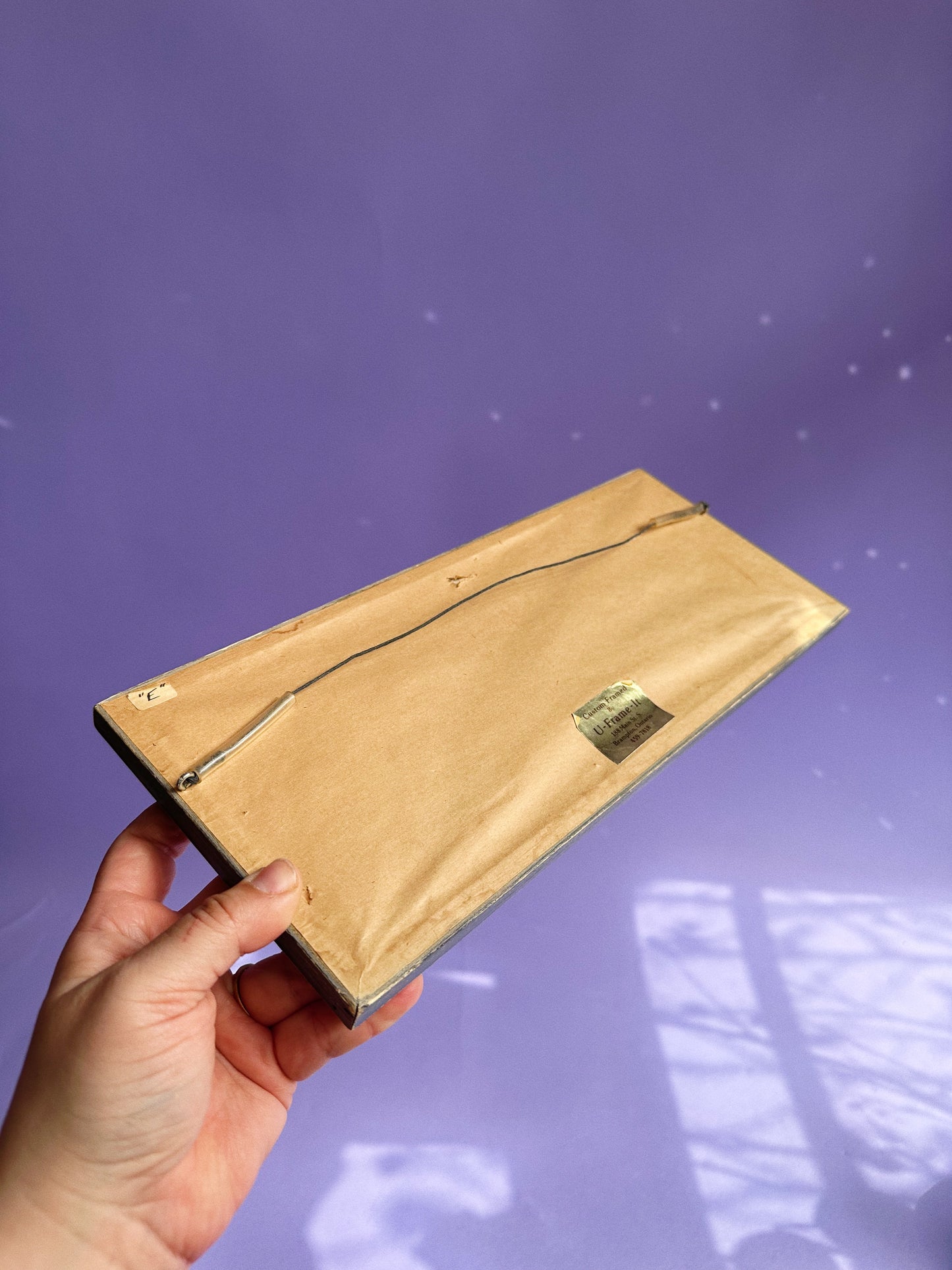 Vintage Penguin Crewel