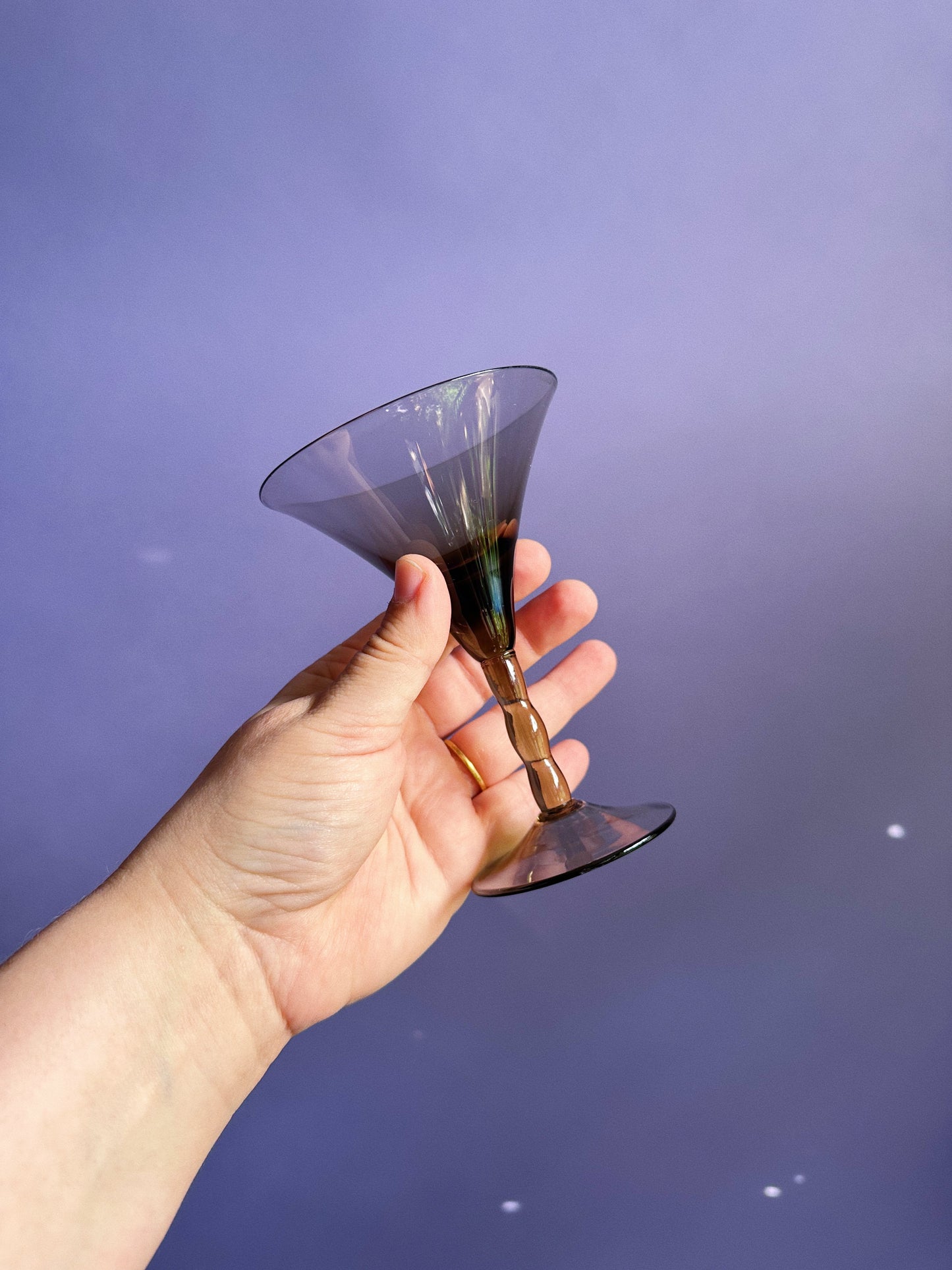 Vintage Smokey Black MCM Cocktail Stemware